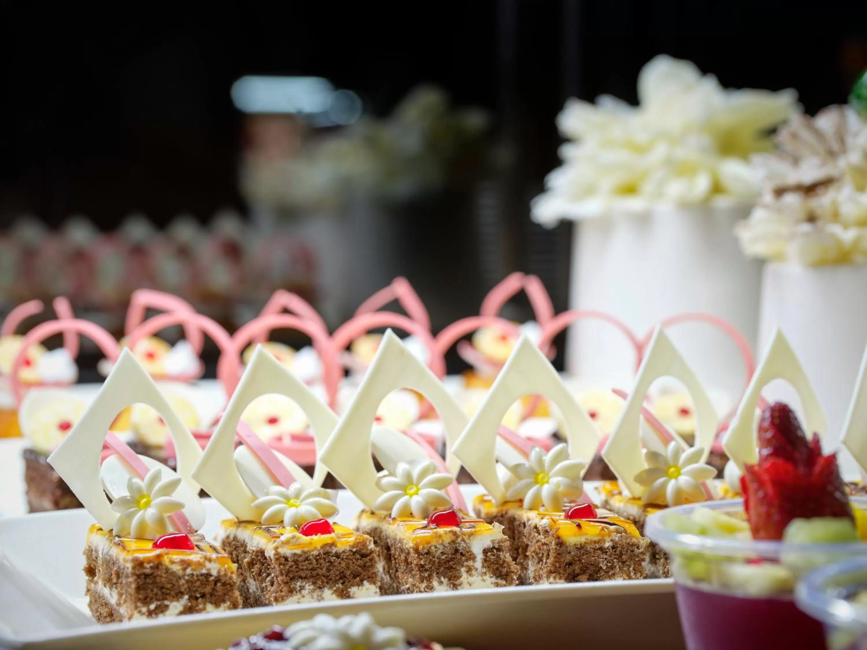 Food in Coral Sea Waterworld Sharm El Sheikh