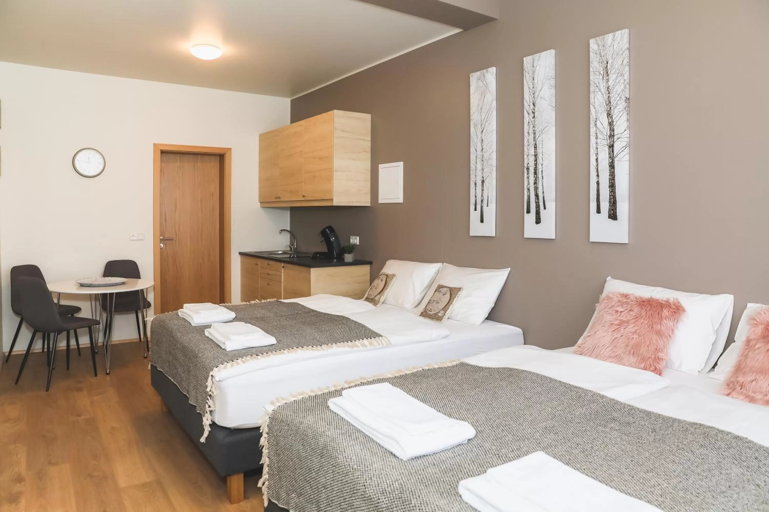 Photo of the whole room in E18 Apartments