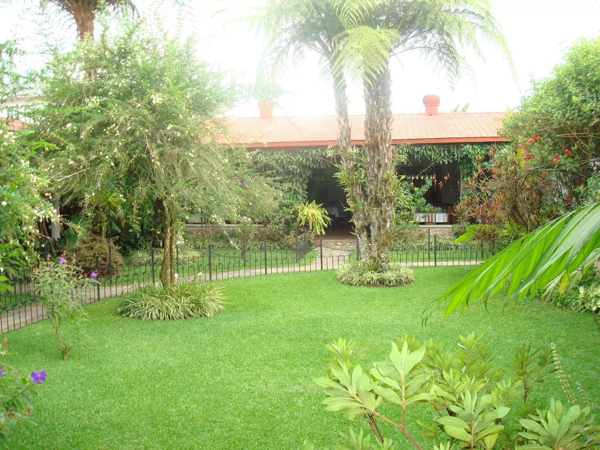 Garden in Hotel Casa Duranta