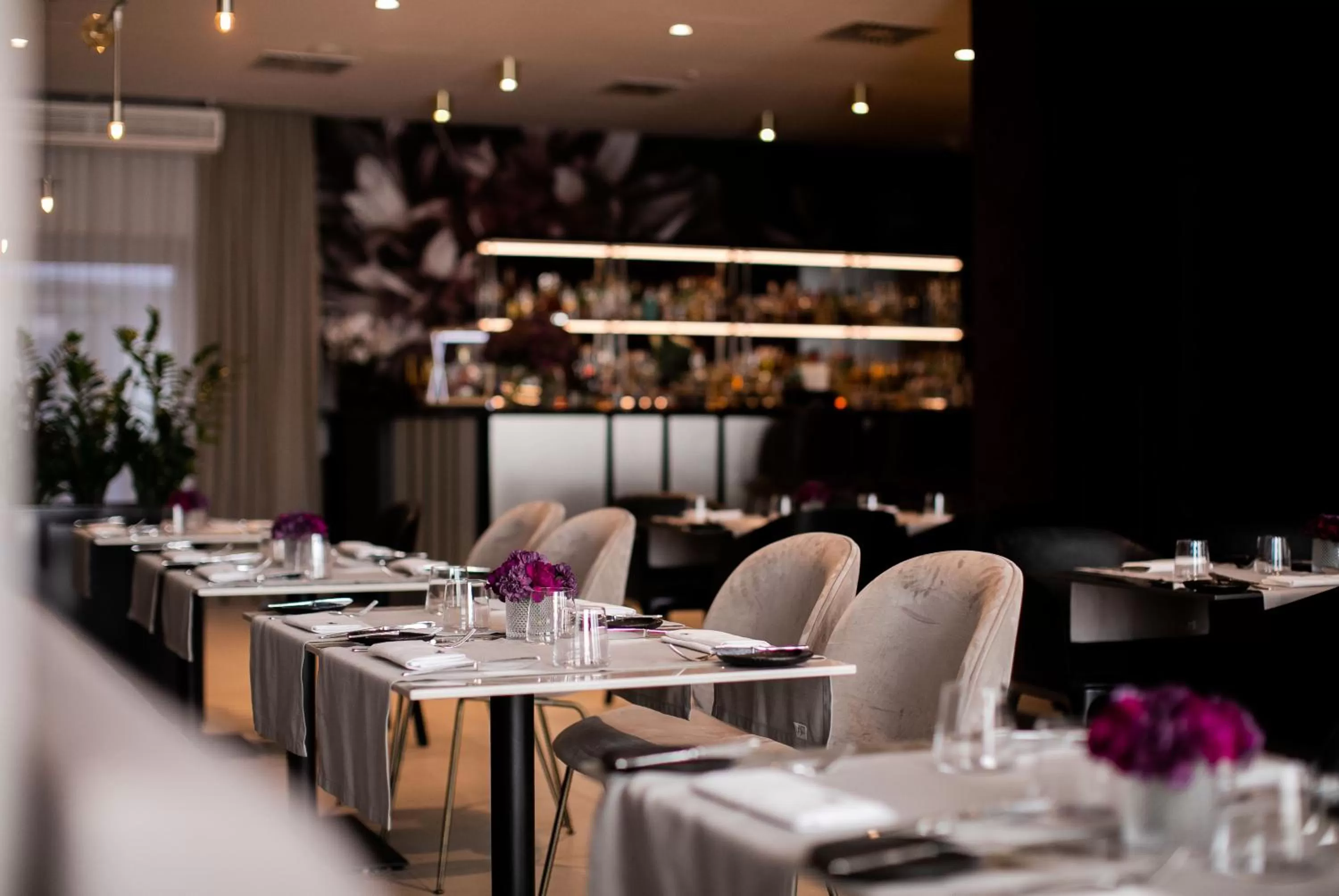 Restaurant/places to eat in GRANO HOTEL Gdańsk Old Town