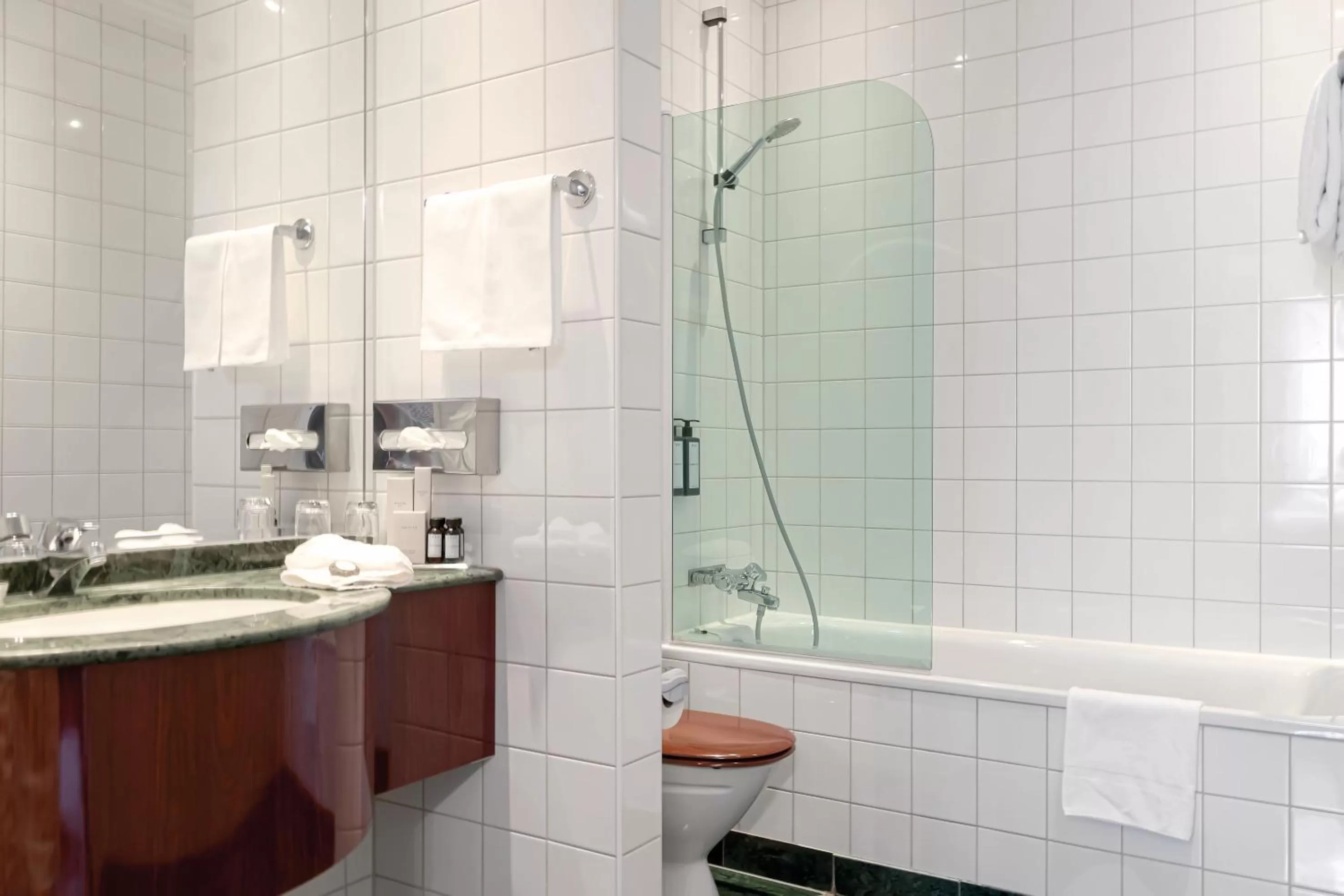 Bathroom in Elite Plaza Hotel