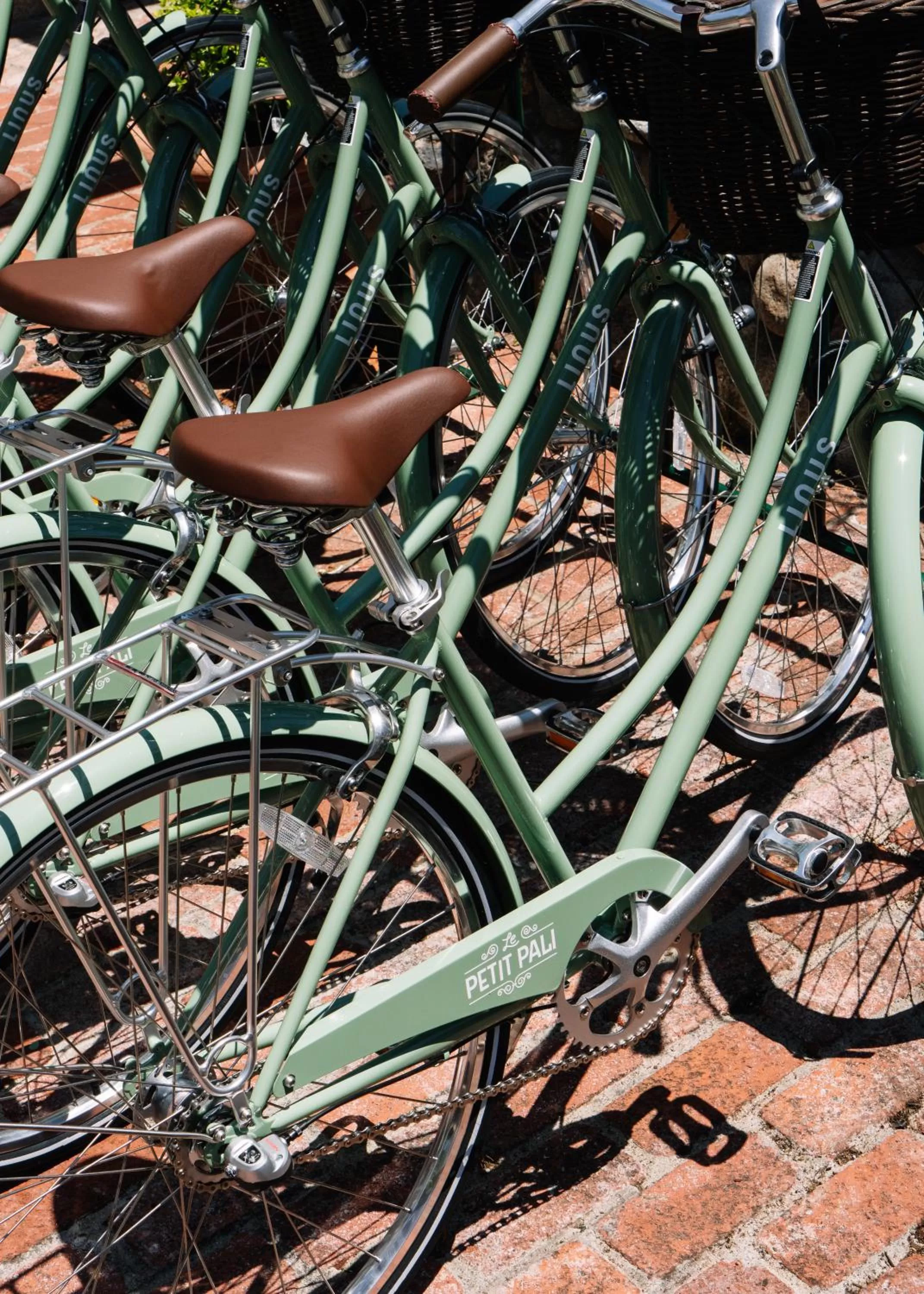 Activities in Le Petit Pali at 8th Ave