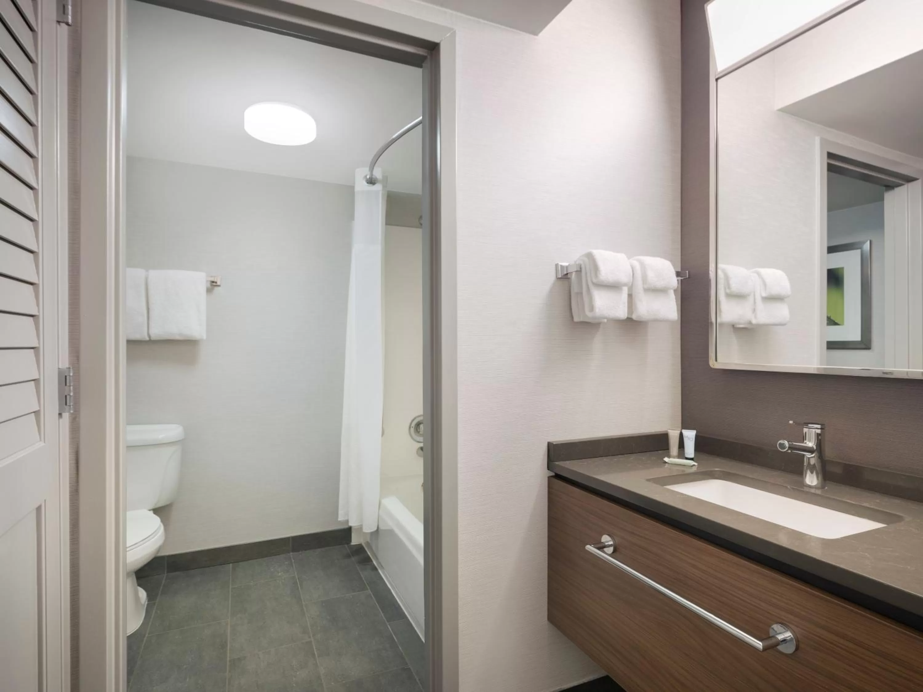 Bathroom in Courtyard Tampa North / I-75 Fletcher