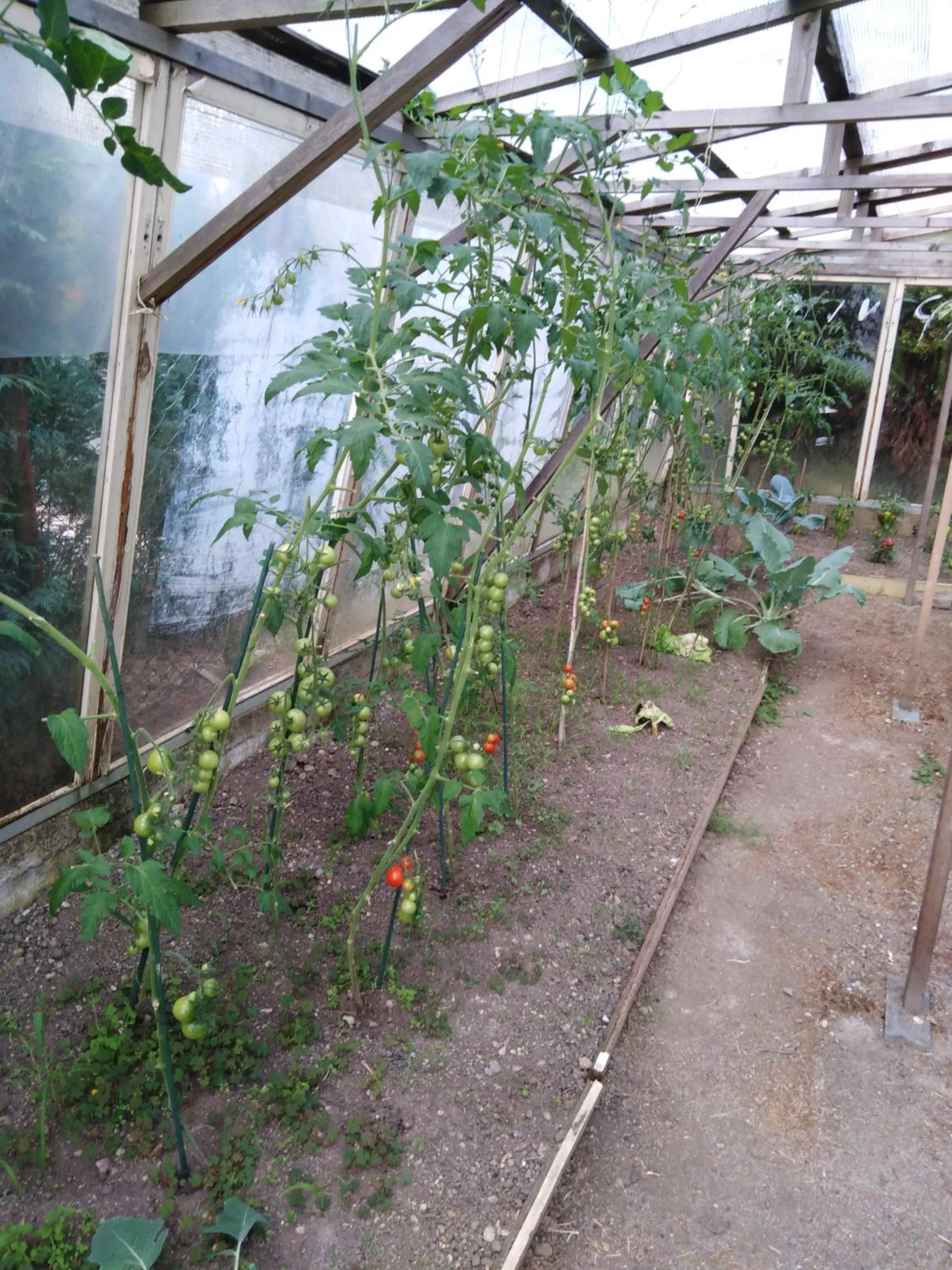 Breakfast in Pension Lukas