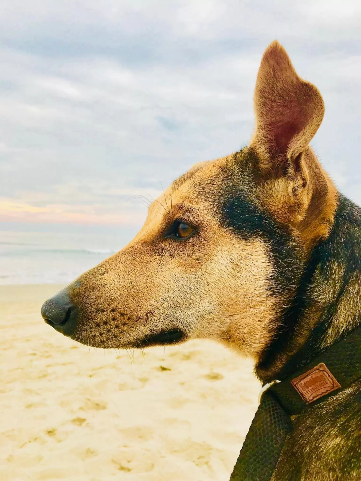 Beach in LaligurasVilla Beachside Escape - 100m to Beach