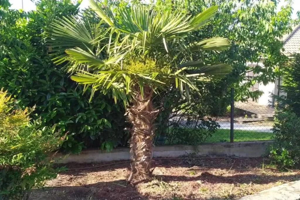 Garden in L'Escale du Monde