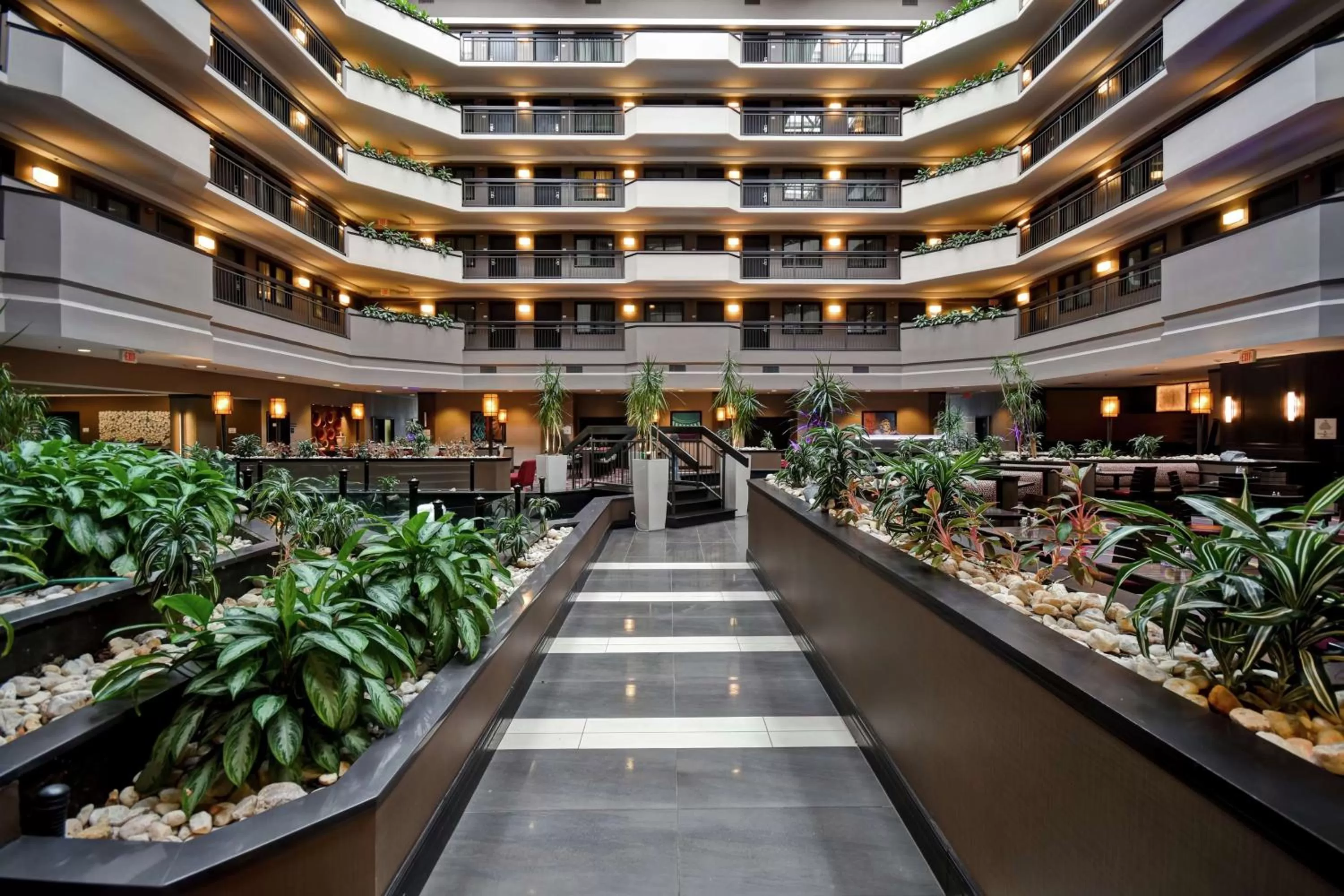 Lobby or reception in Embassy Suites by Hilton Dulles Airport