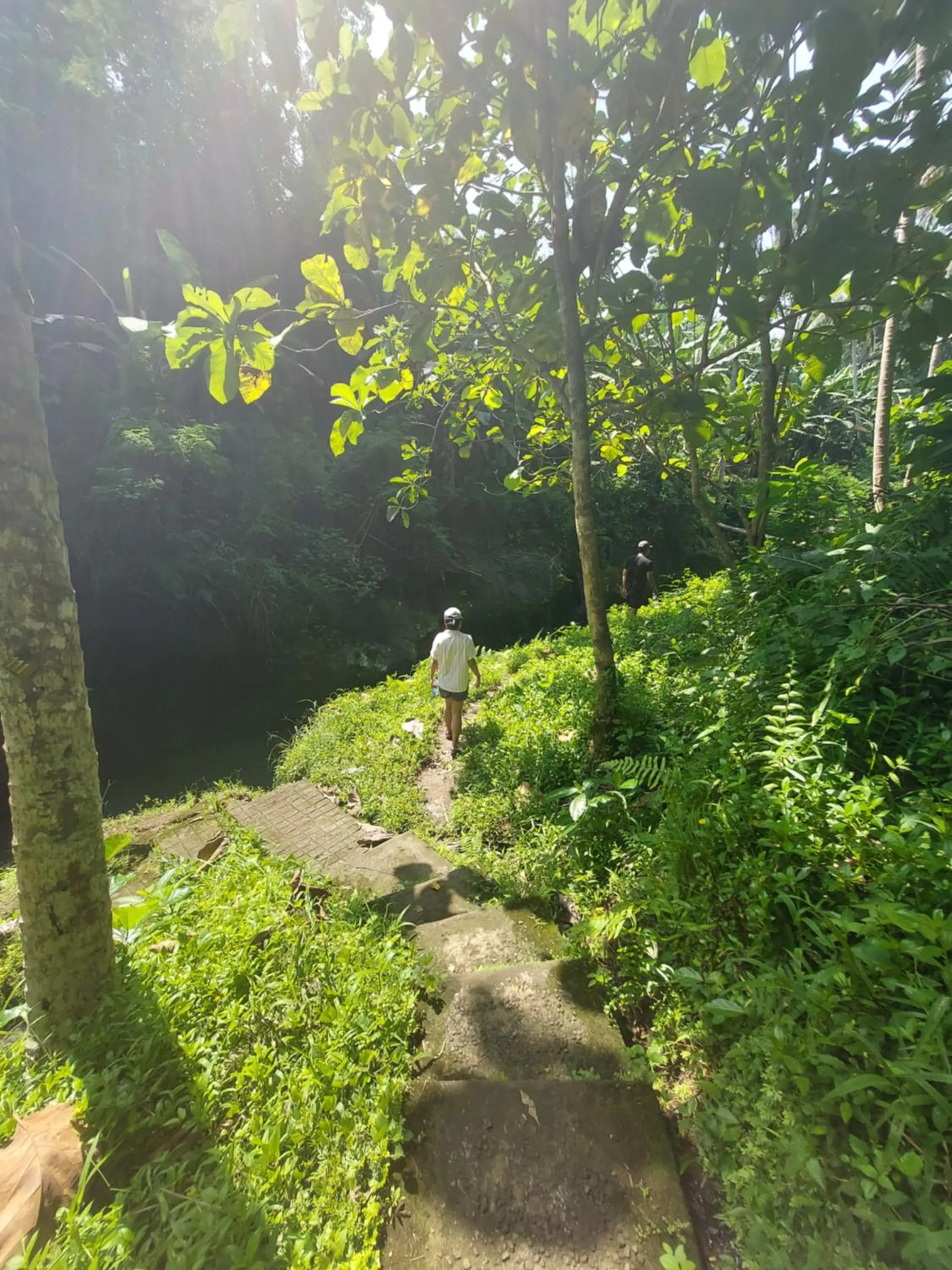 Natural landscape in Ubad Retreat