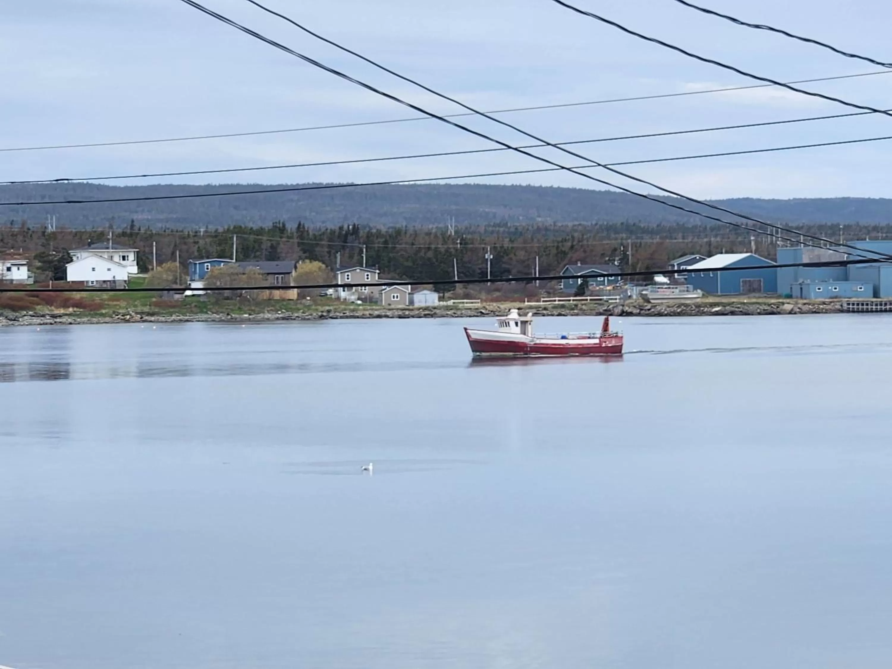 Natural landscape in The Harbourside Inn