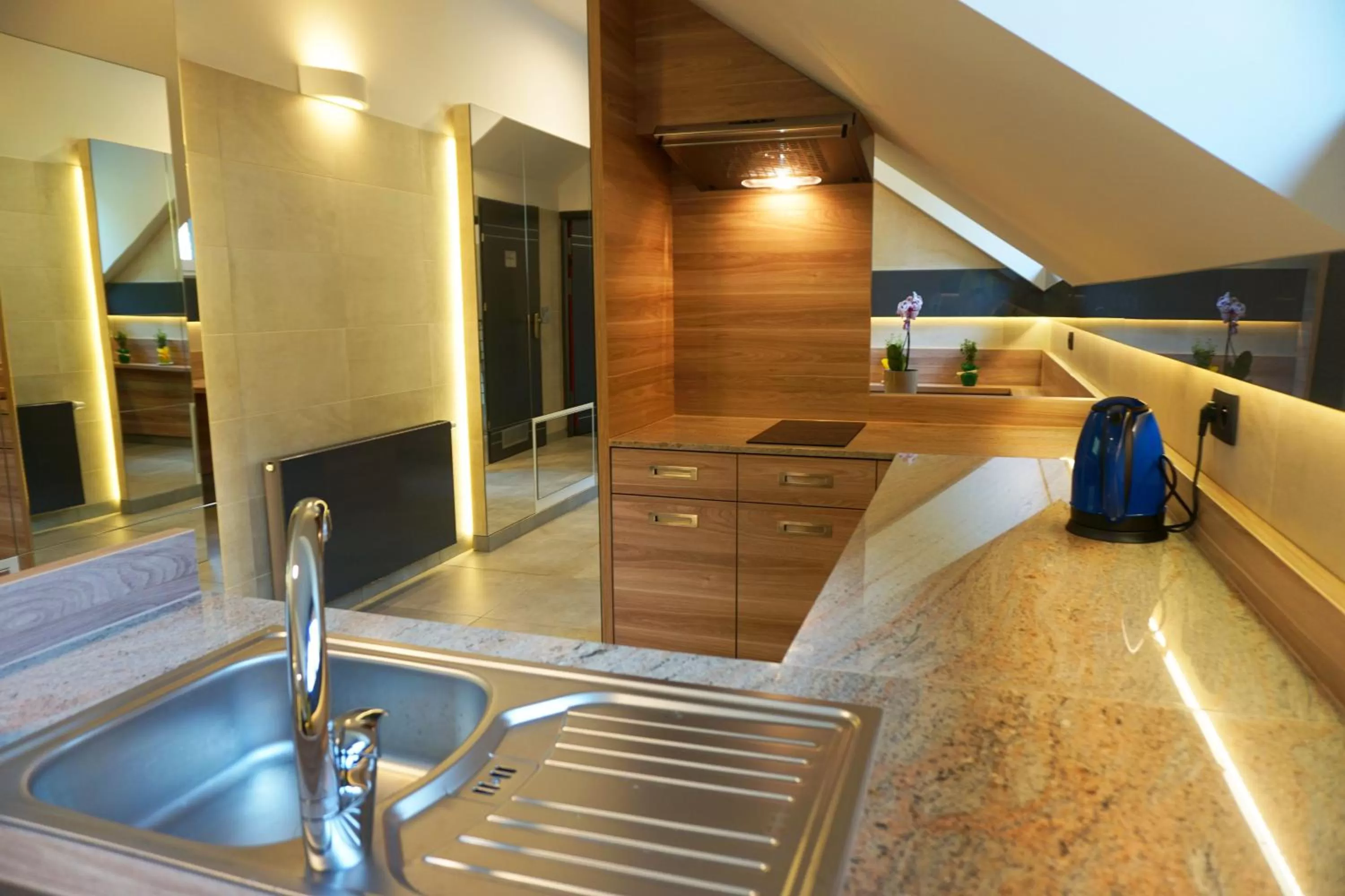 Communal kitchen in Villa Winterpol