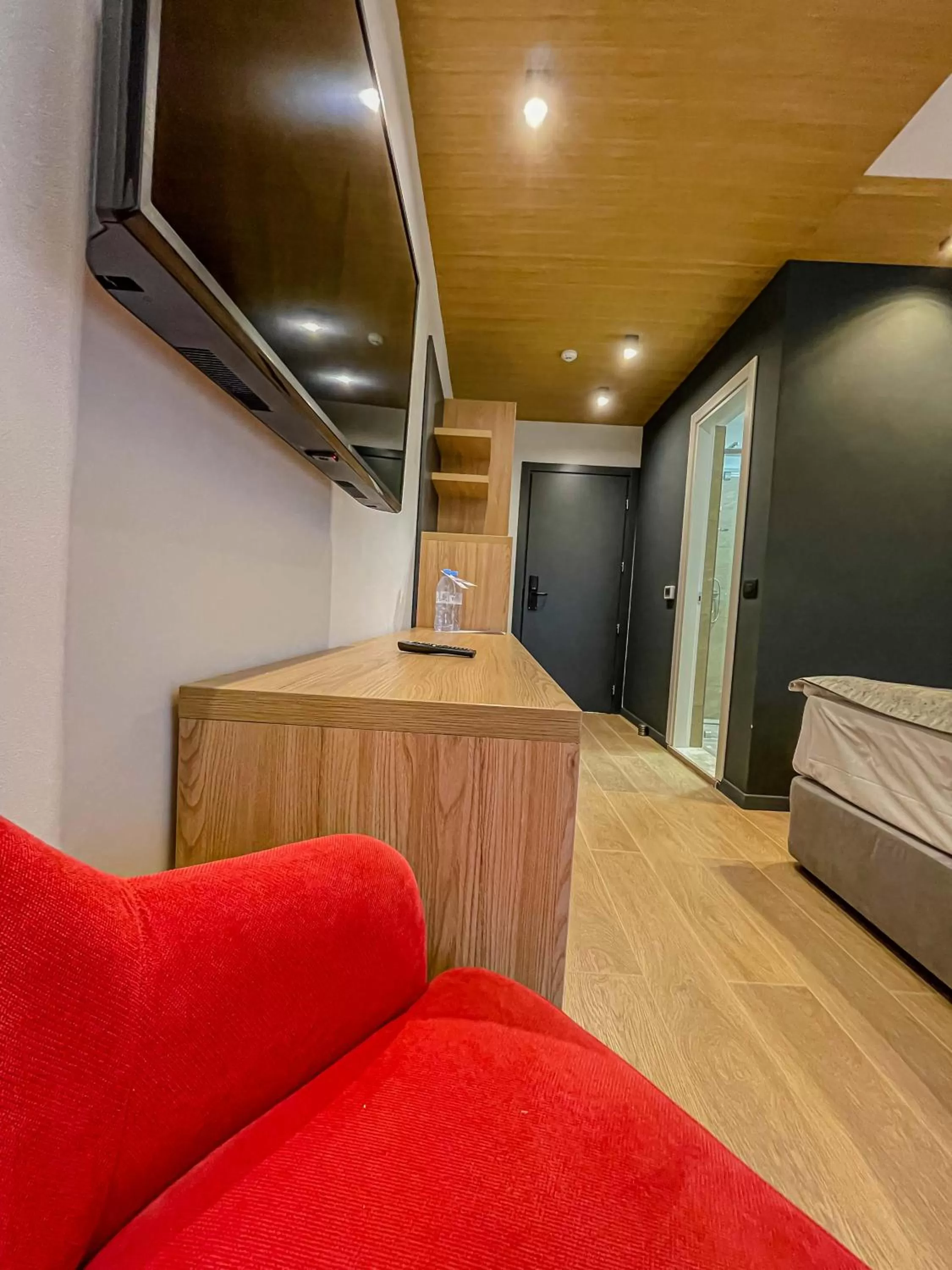 TV and multimedia in Ursuletul Predeal