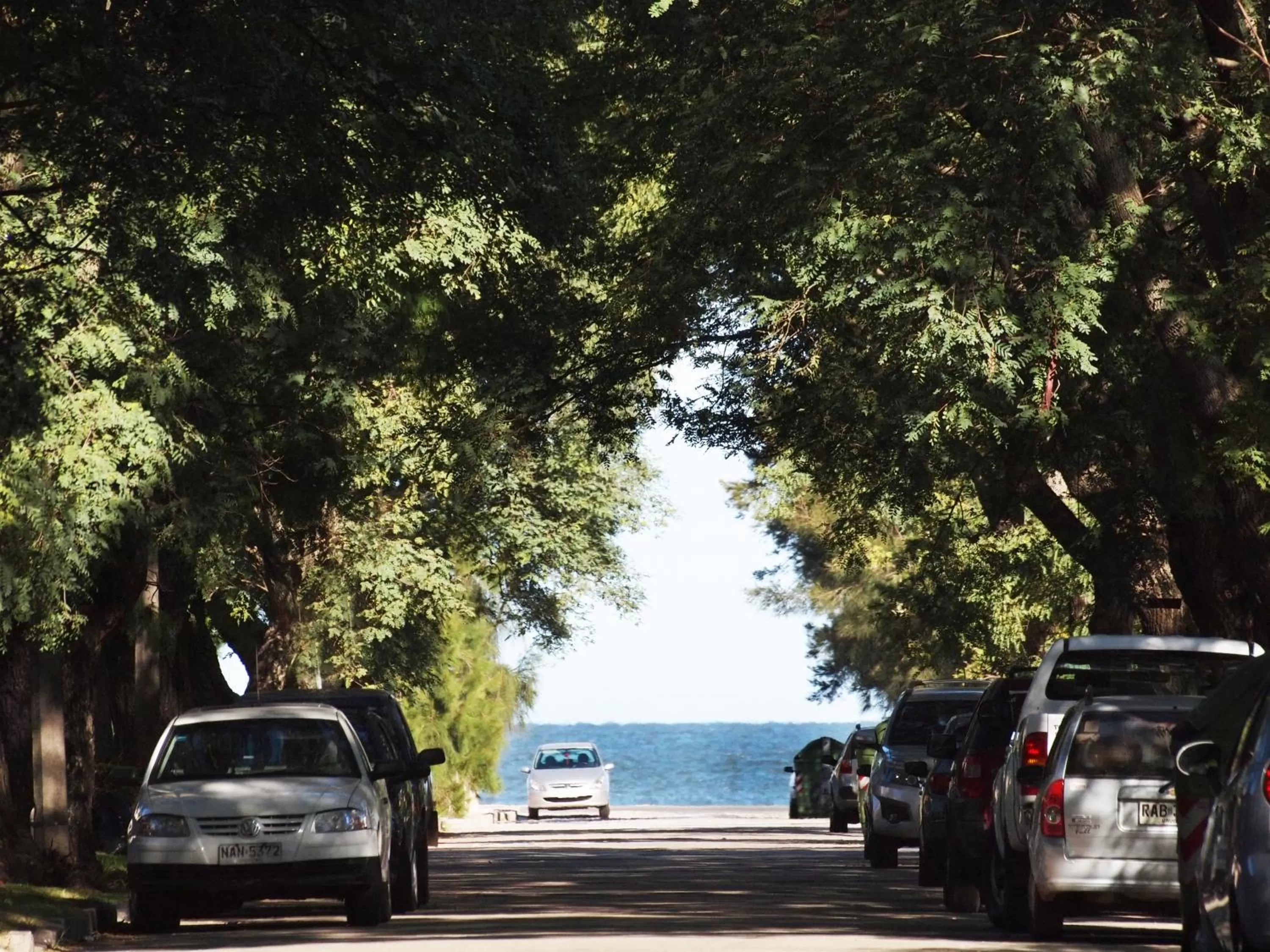 Beach in Cottage Carrasco