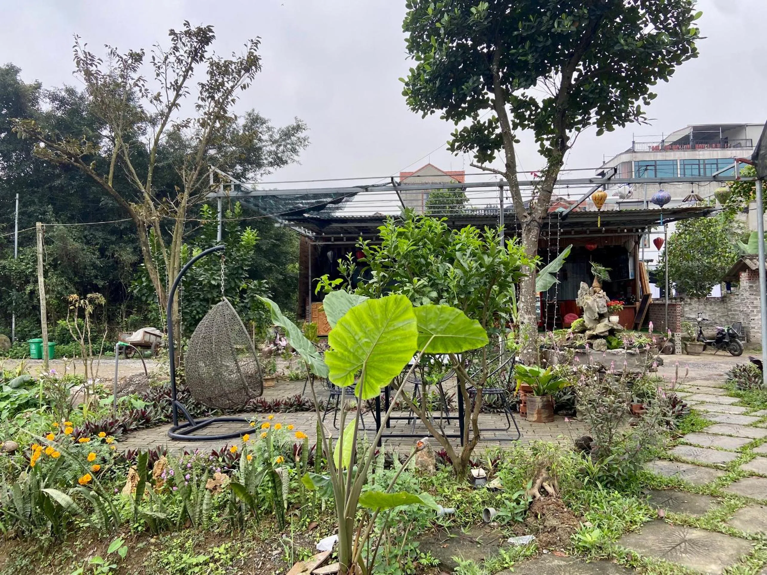 Tam Coc Mountain View Homestay