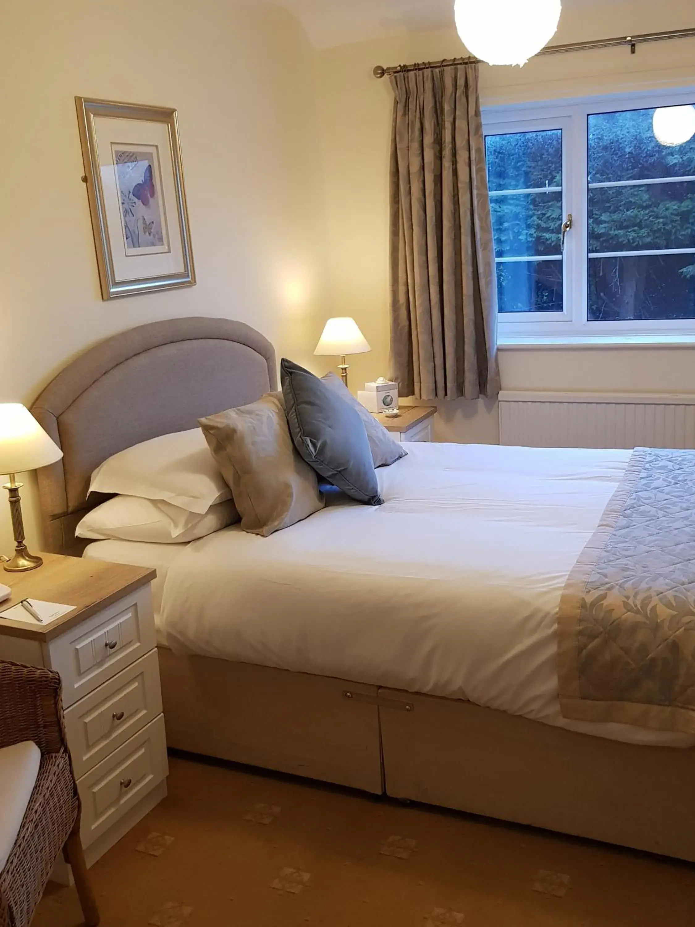 Double Room - single occupancy in Apple Tree Hotel Double Room - single occupancy in Apple Tree Hotel