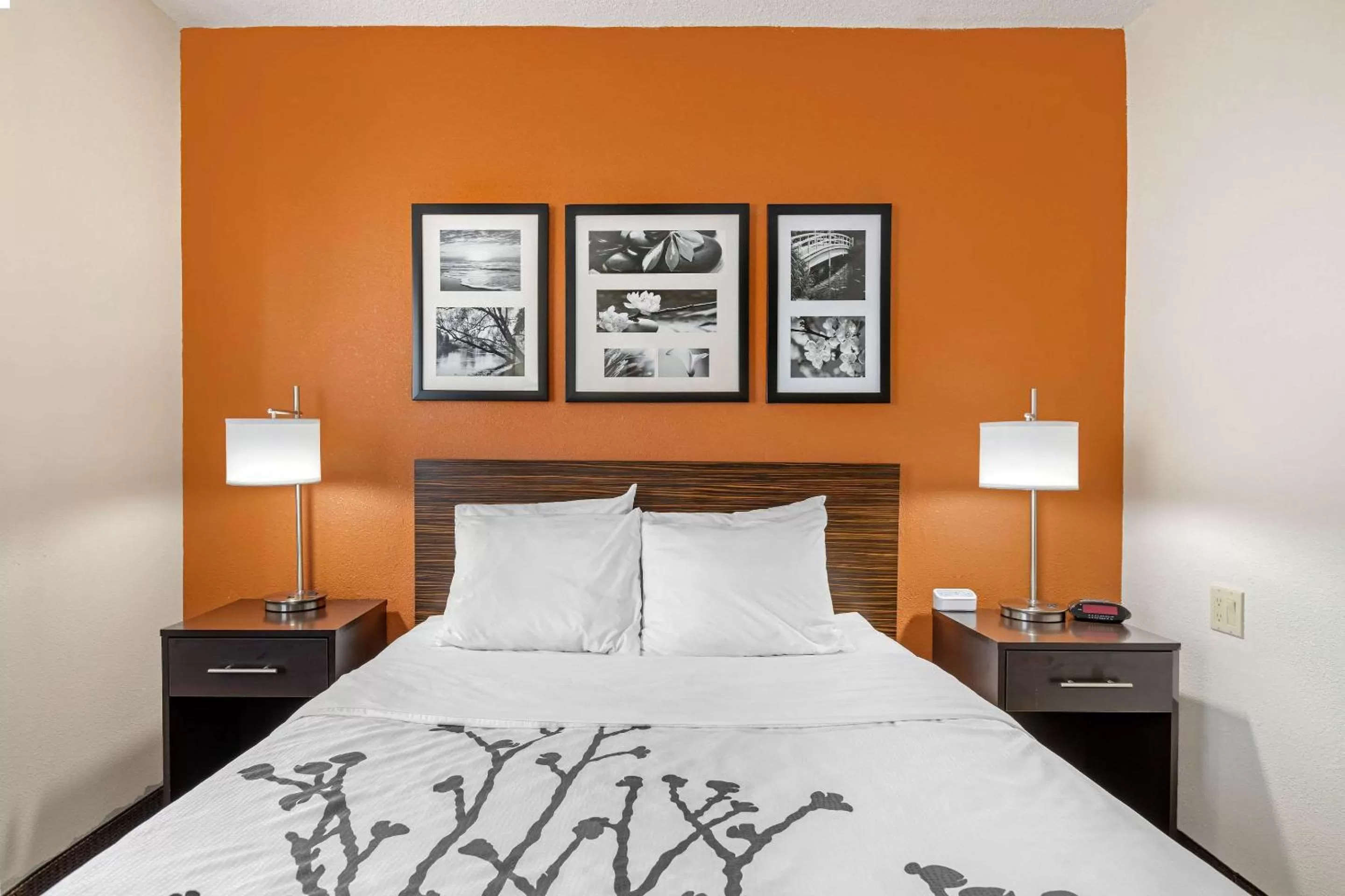 Photo of the whole room, Bed in Sleep Inn DeWitt - Lansing North