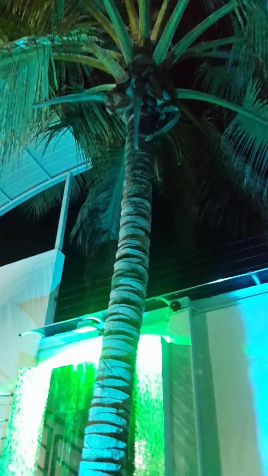 Swimming Pool in Tropical Resort Tocaima