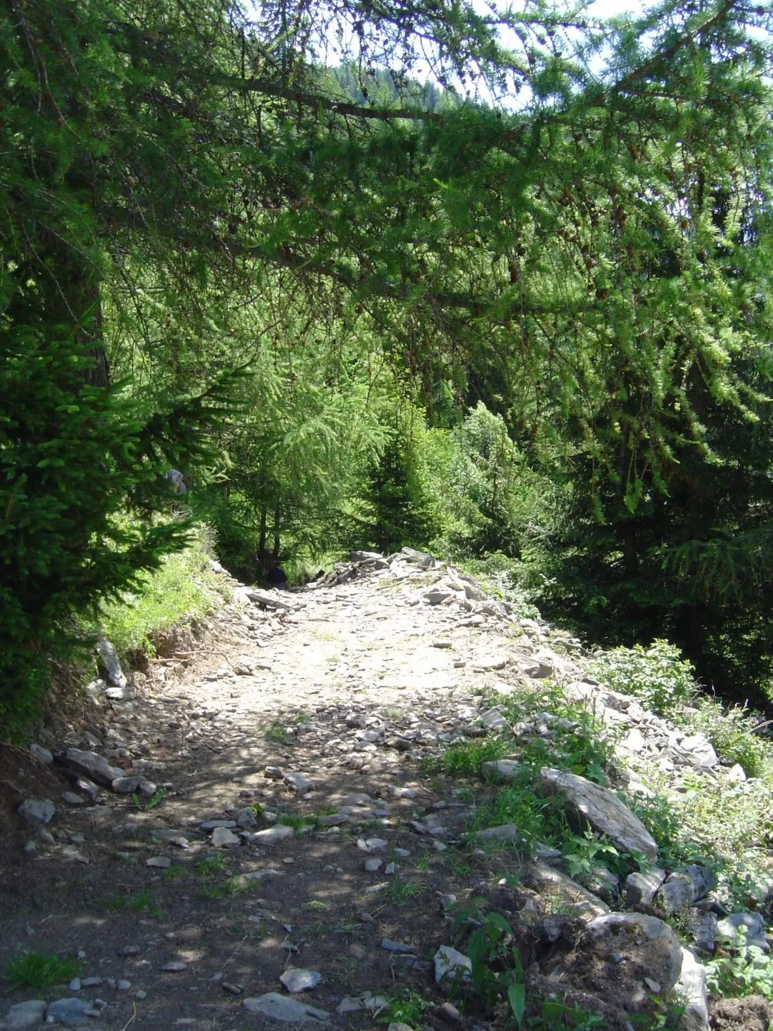 Area and facilities in Hotel Le Genepy