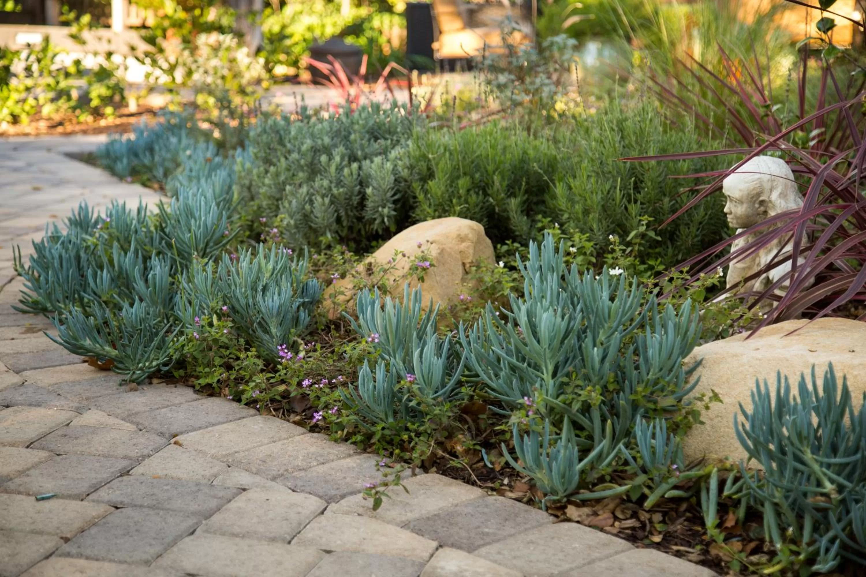 Garden in Cheshire Cat Inn & Cottages