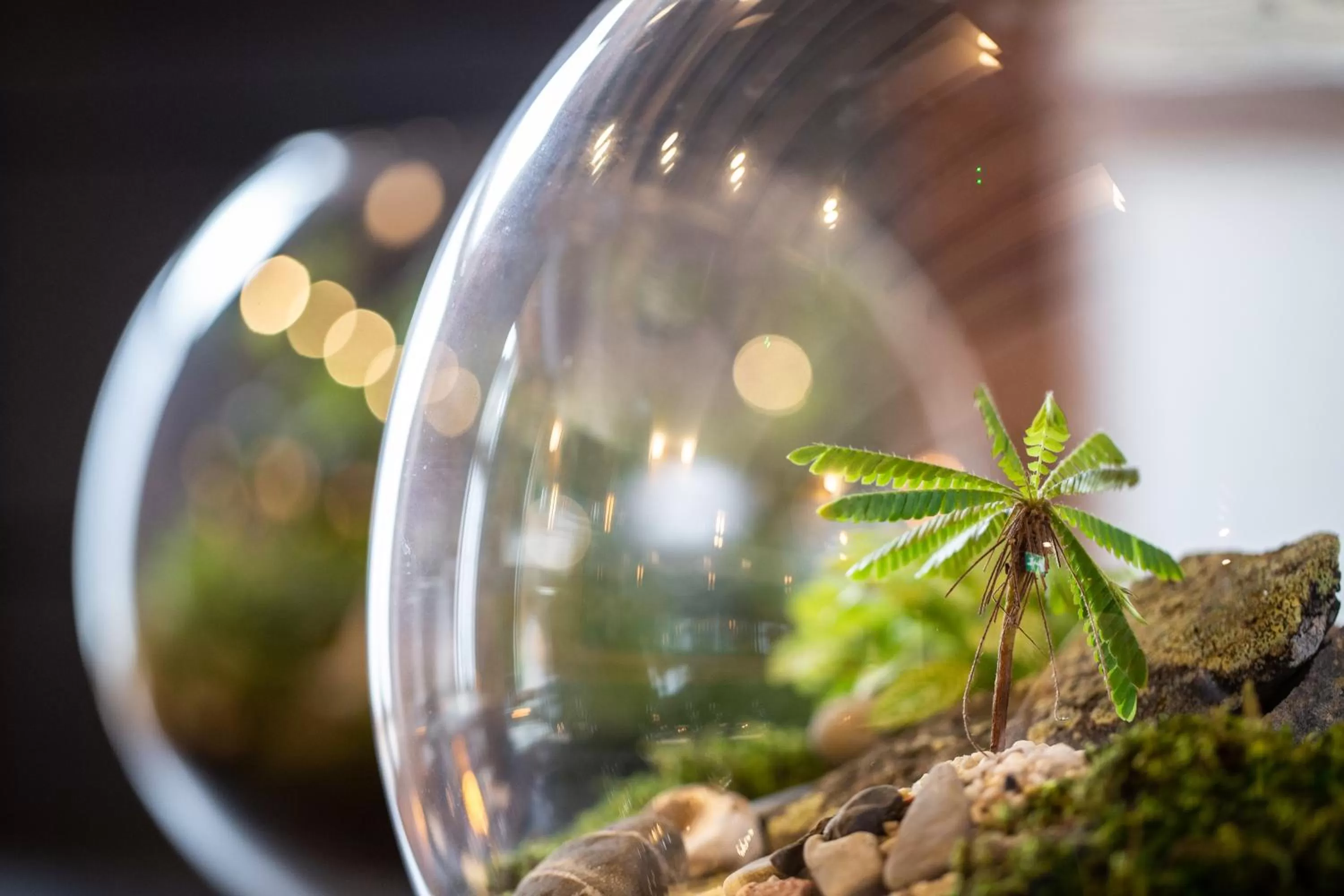 Restaurant/places to eat in The Black Bull Inn