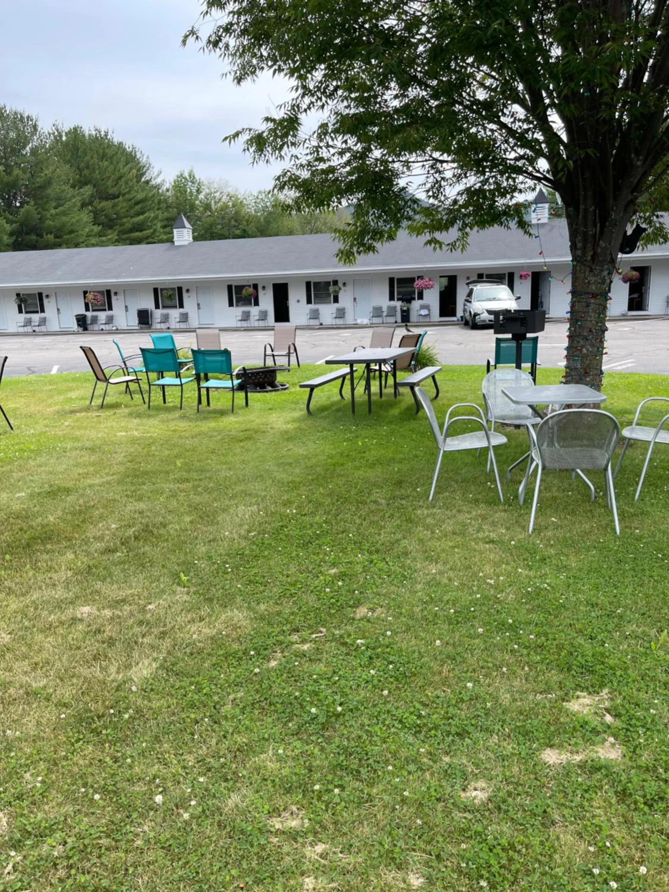 Garden view in Colonial Motel