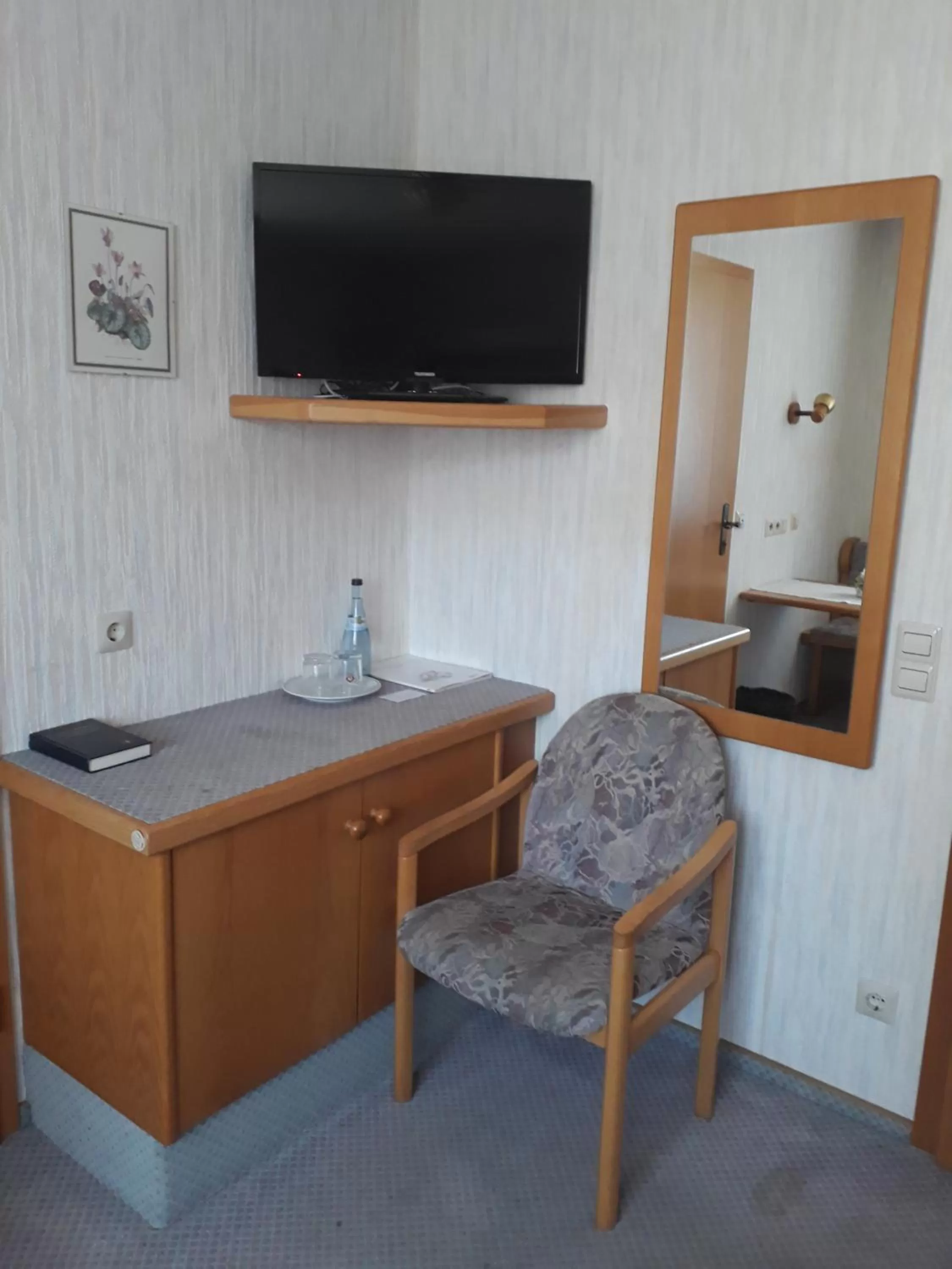 TV and multimedia, TV/Entertainment Center in Hotel Eleon