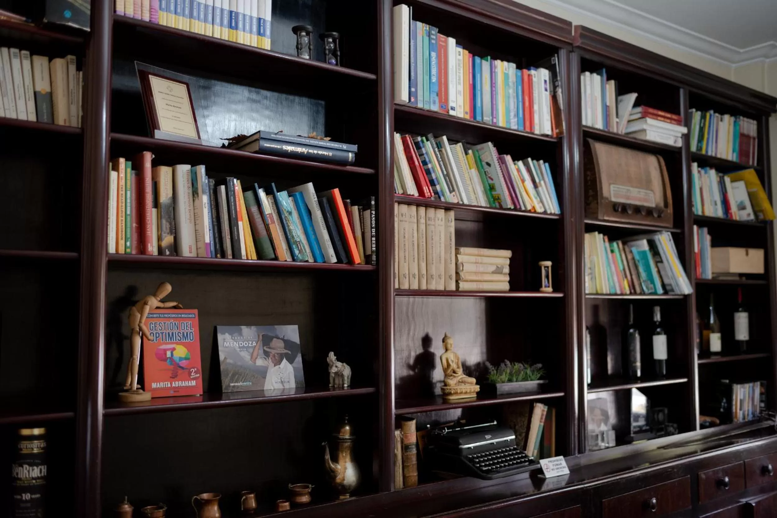 Library in Juana Banana Bed and Breakfast