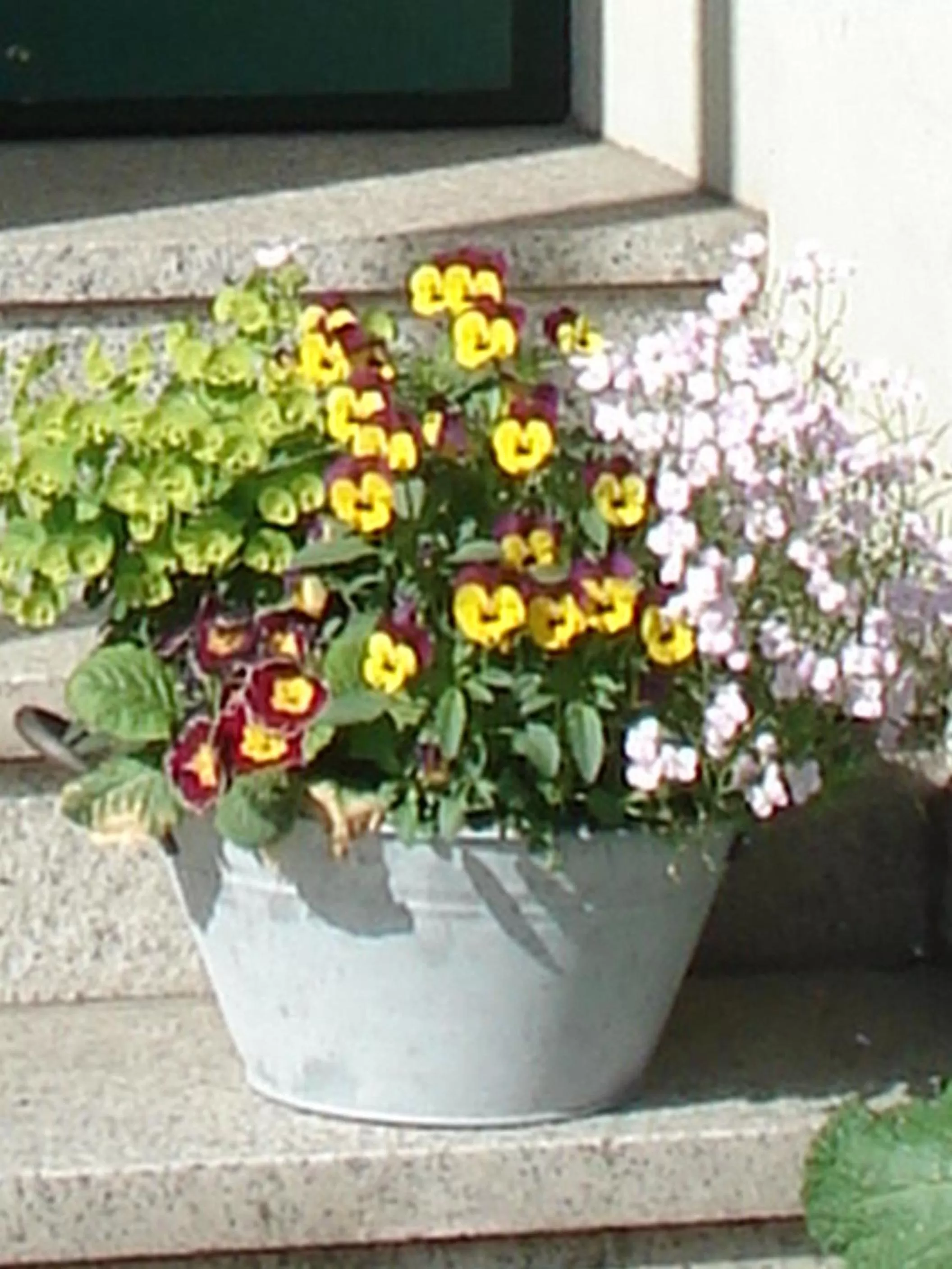 Facade/entrance in Pension Zur Fährbrücke