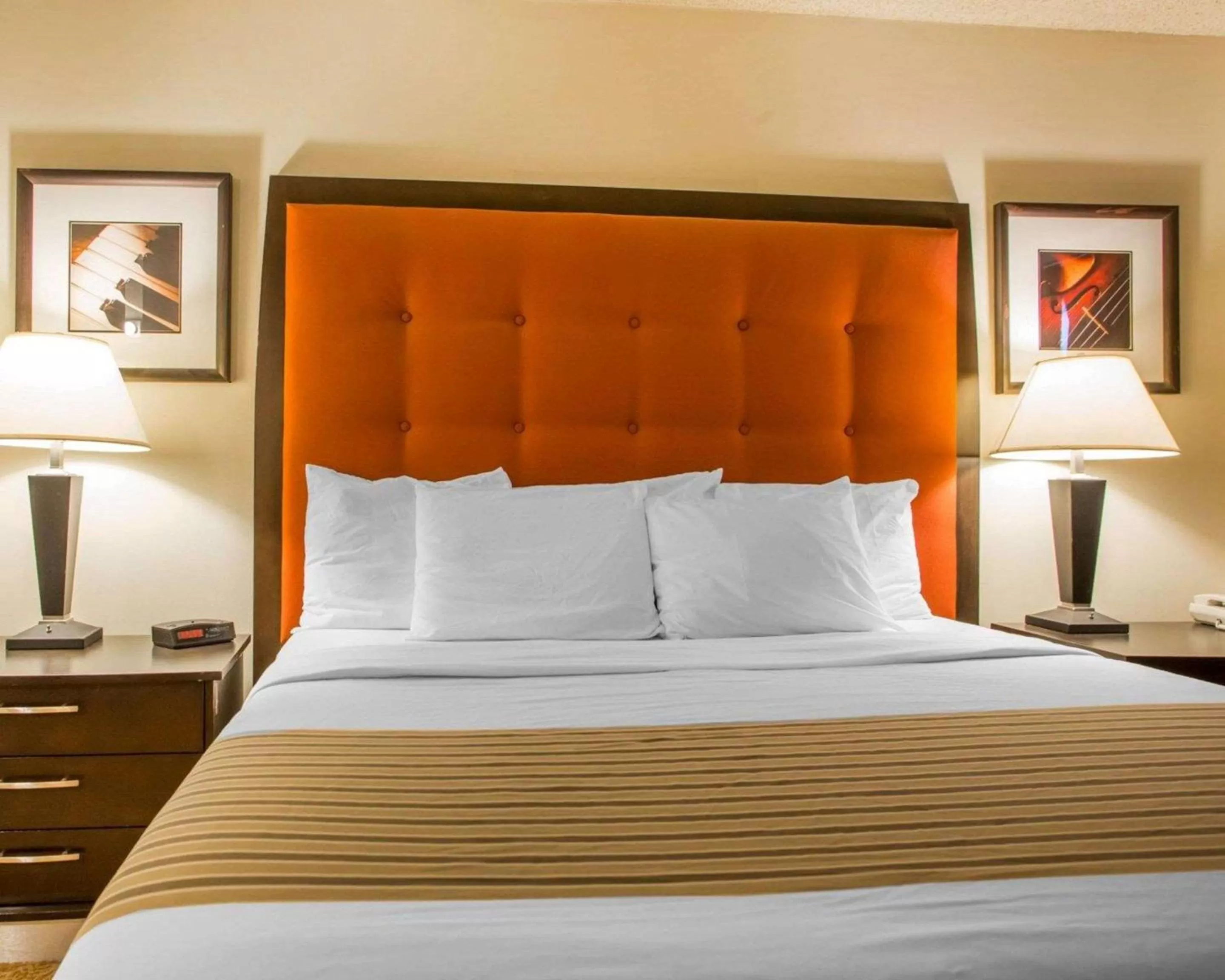 Photo of the whole room, Bed in University Inn & Suites