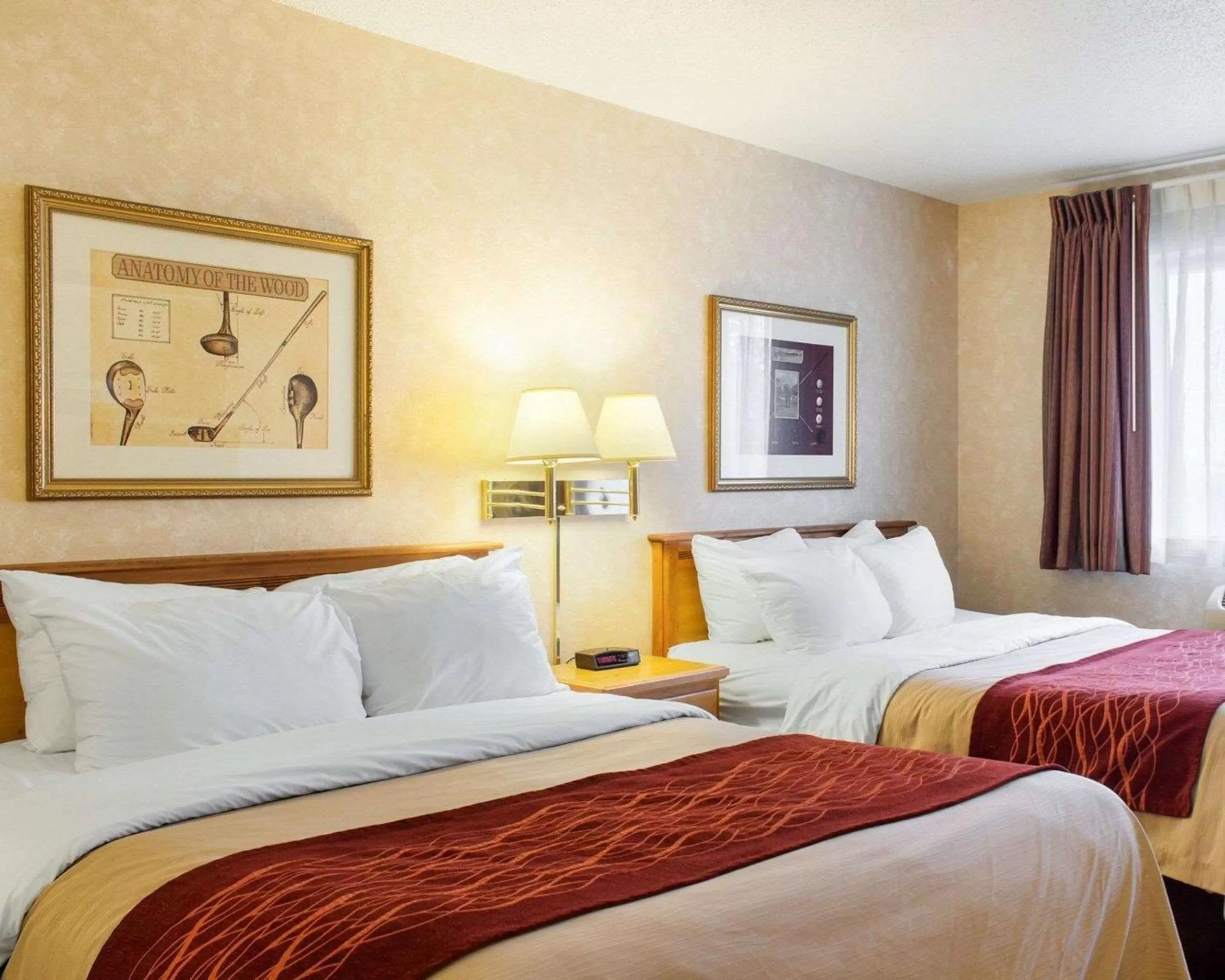 Photo of the whole room, Bed in Quality Inn Brandon - Sioux Falls