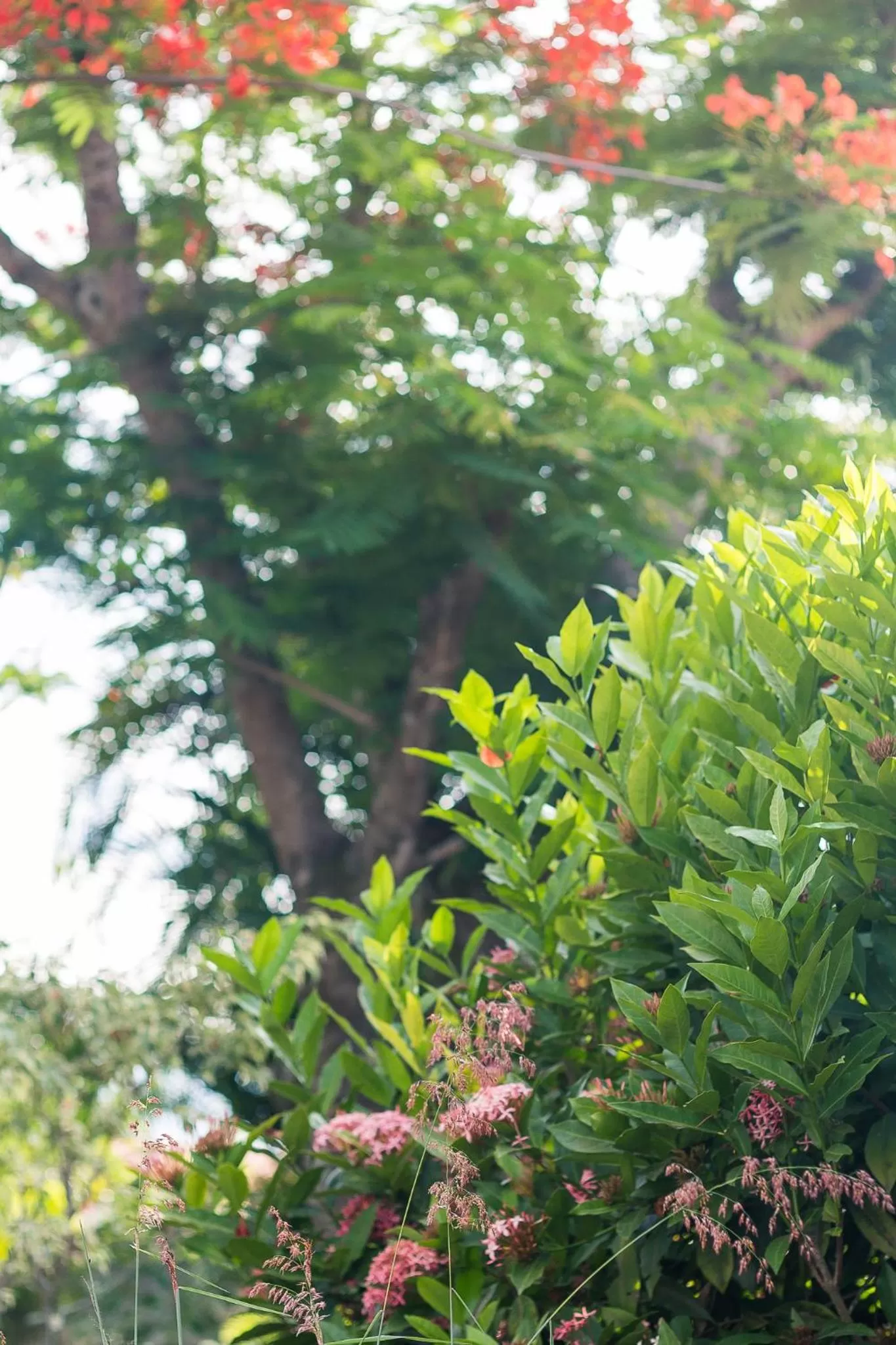 Pousada Solar Tropical