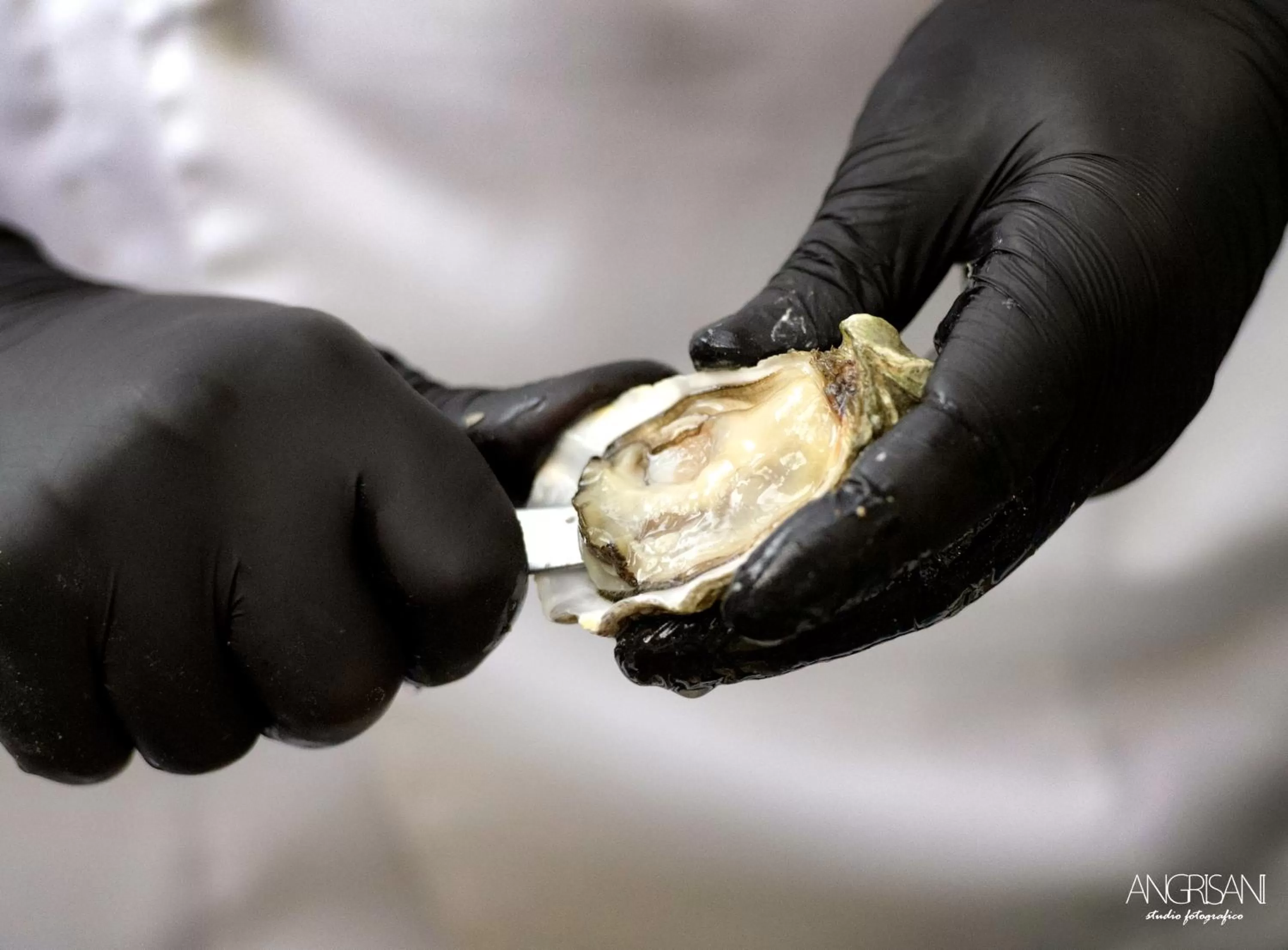 Food close-up in Hotel Bristol