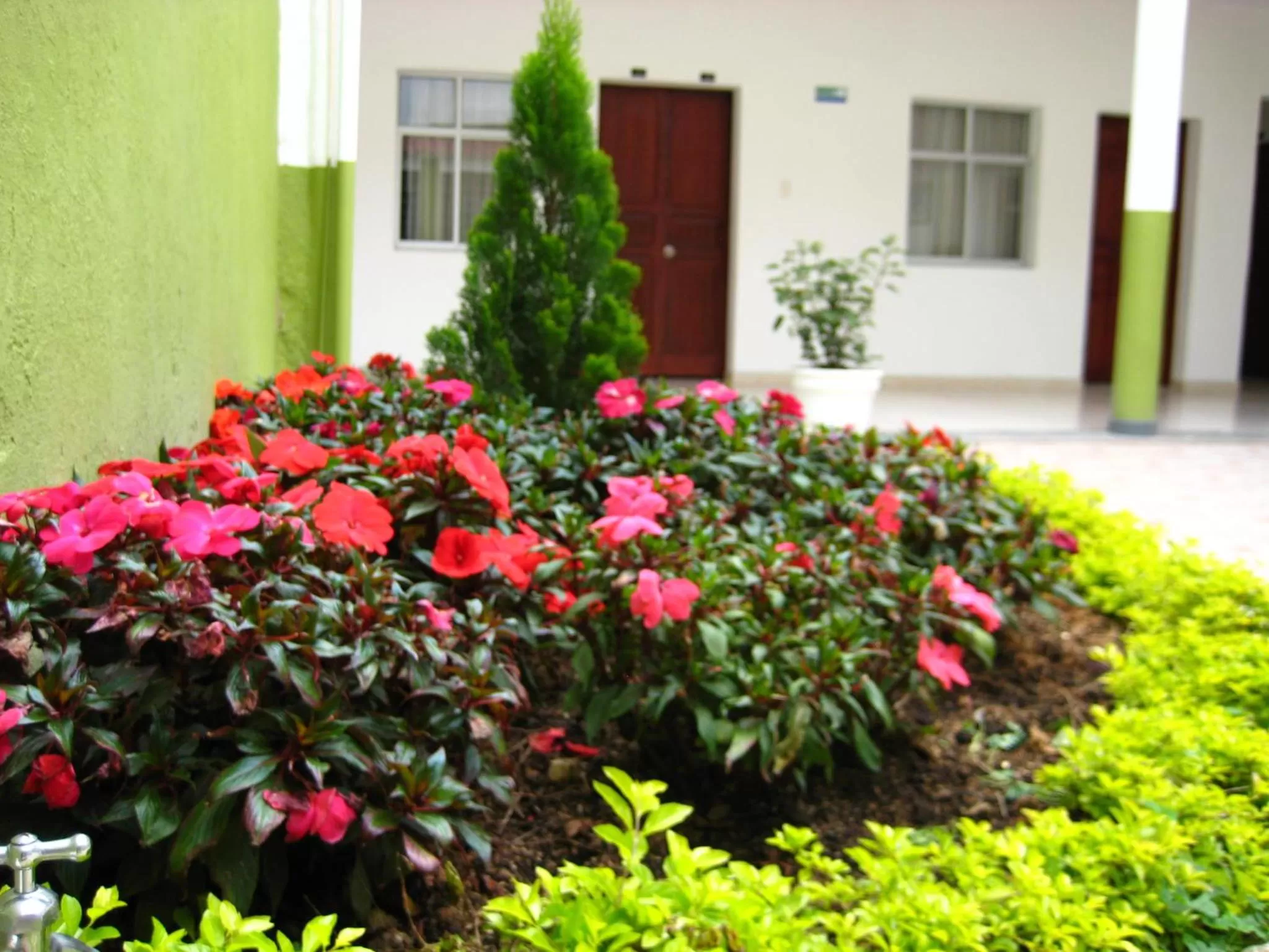Garden in Hotel Abadia