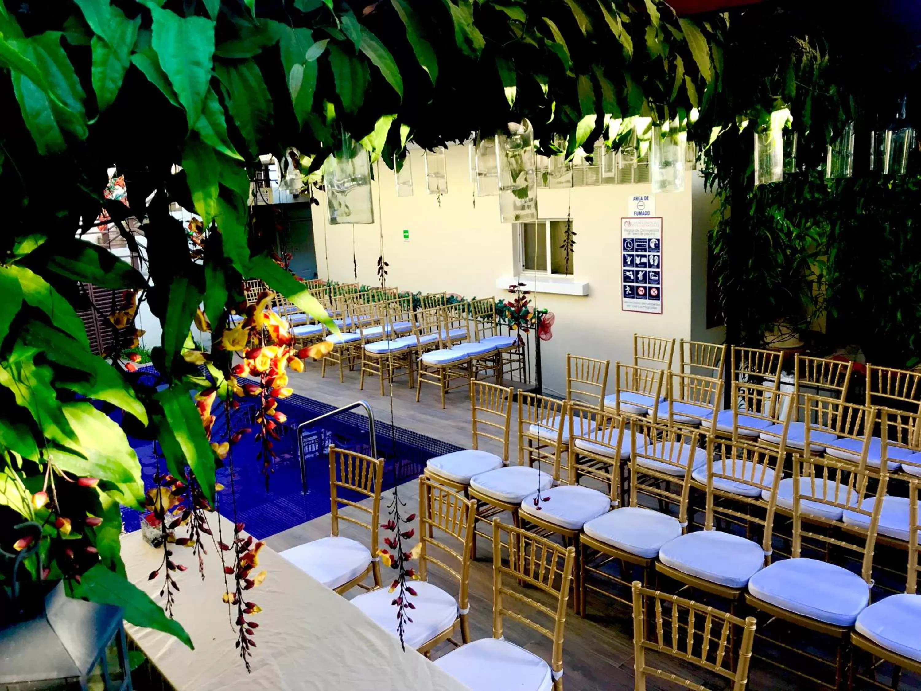 Activities in Las Magnolias Hotel Boutique