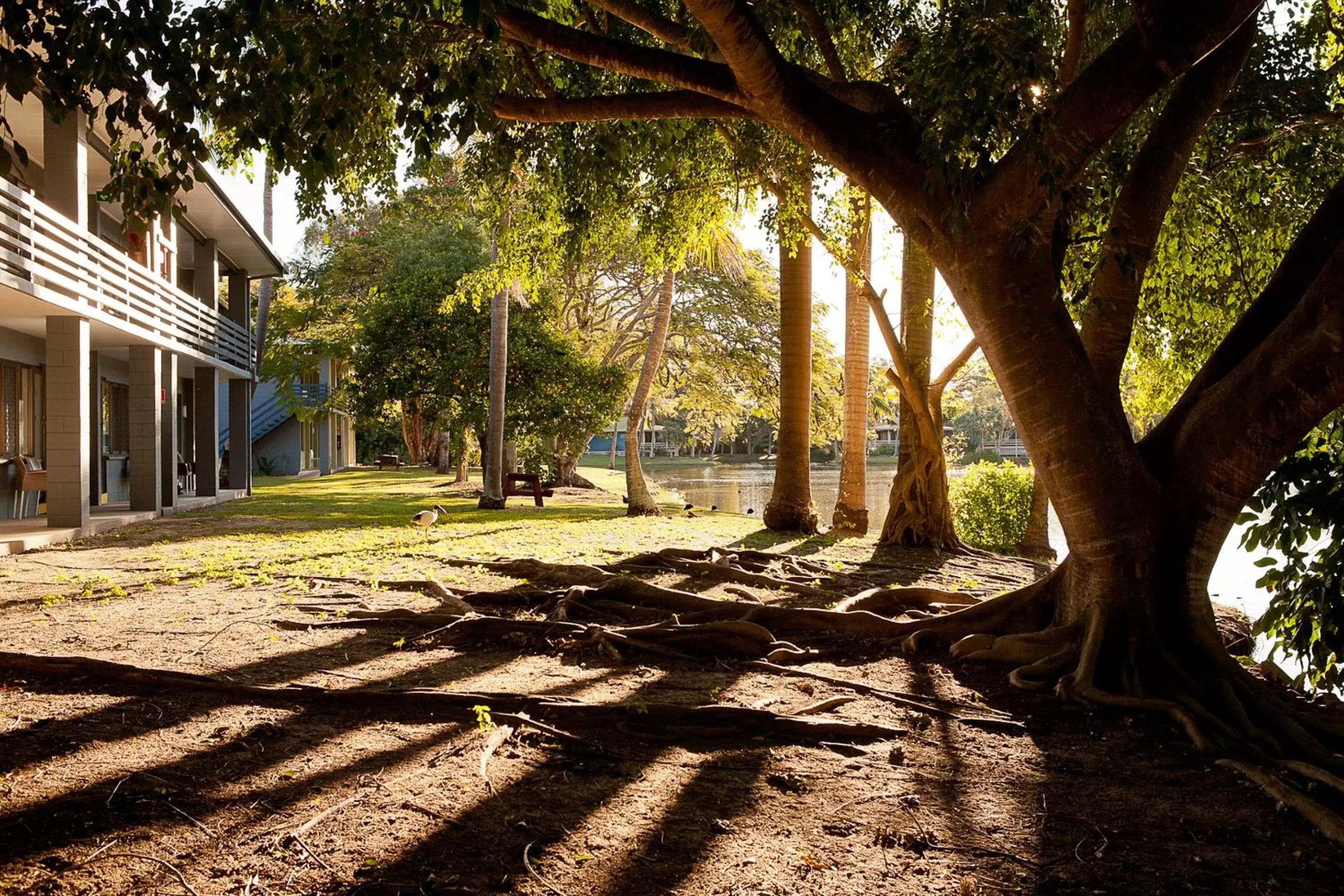 Garden in Nightcap at Kondari Resort