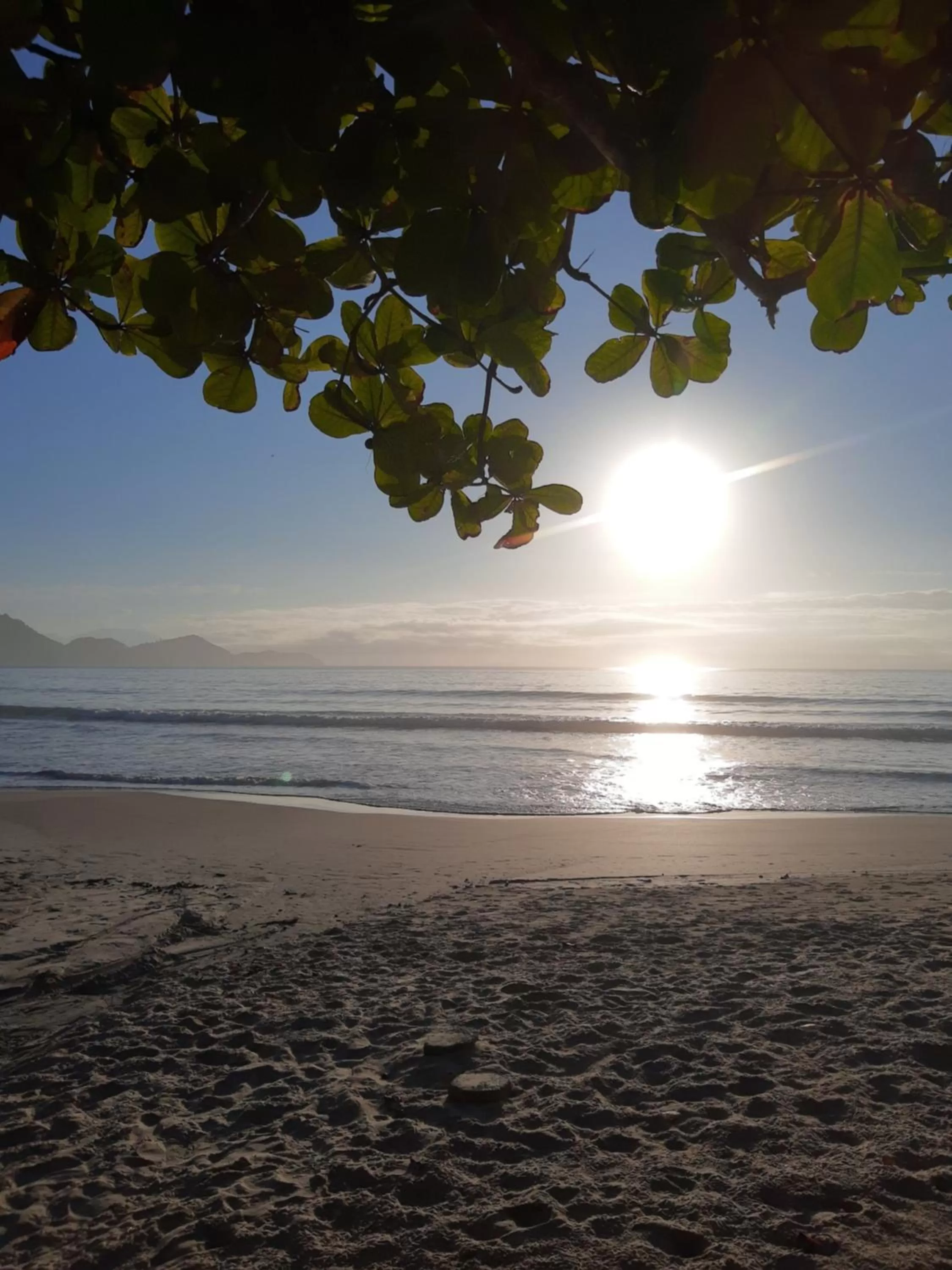 Natural landscape in Pousada Viva Ubatuba