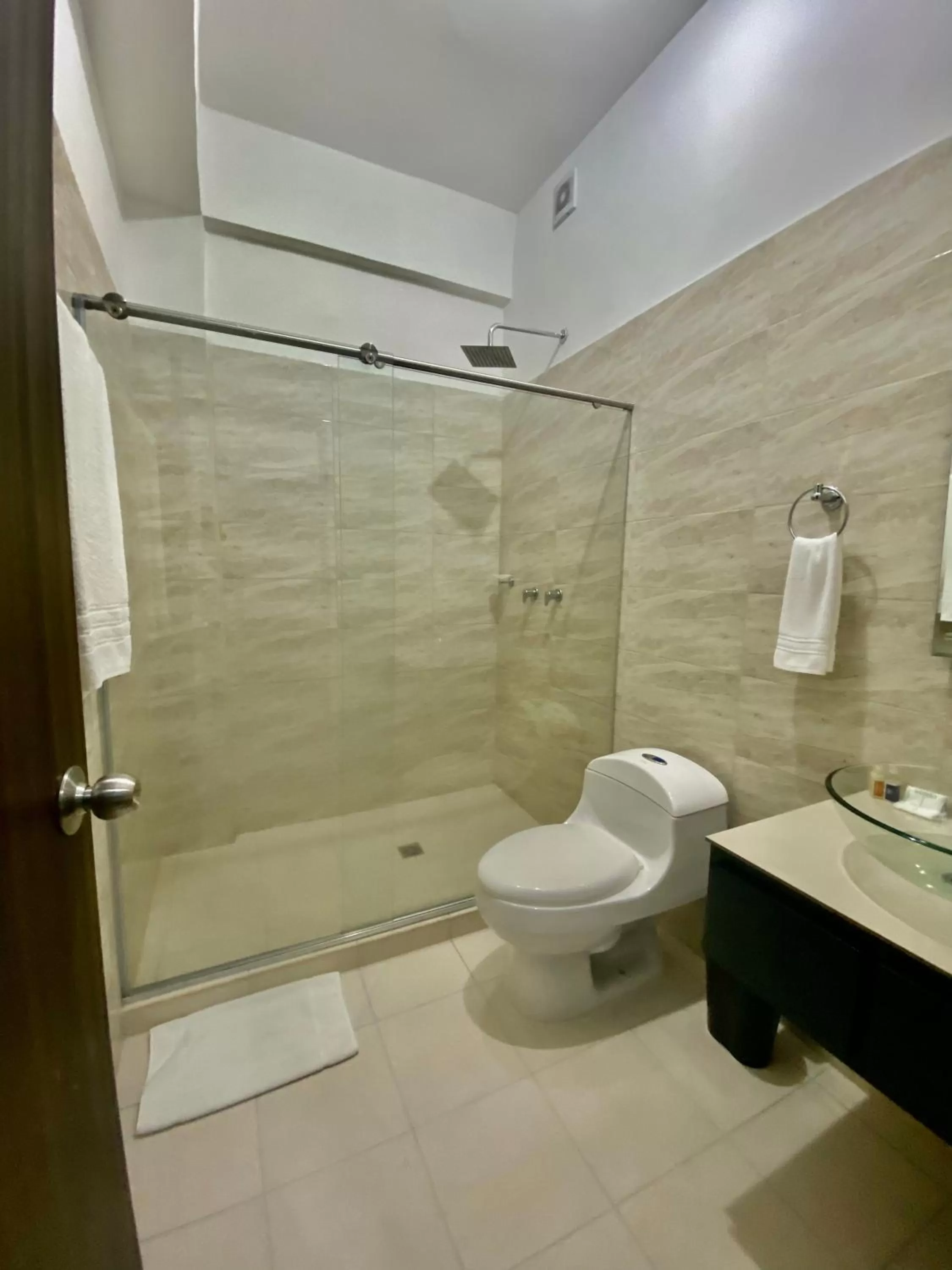 Shower in Hotel El Marqués De Manga