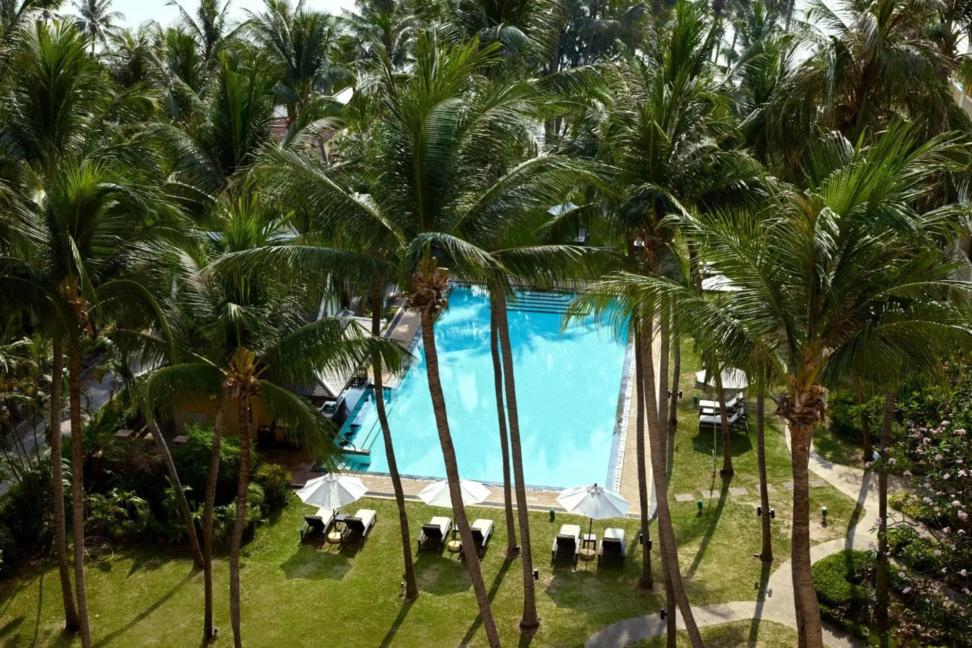 Swimming pool in Dusit Thani Hua Hin