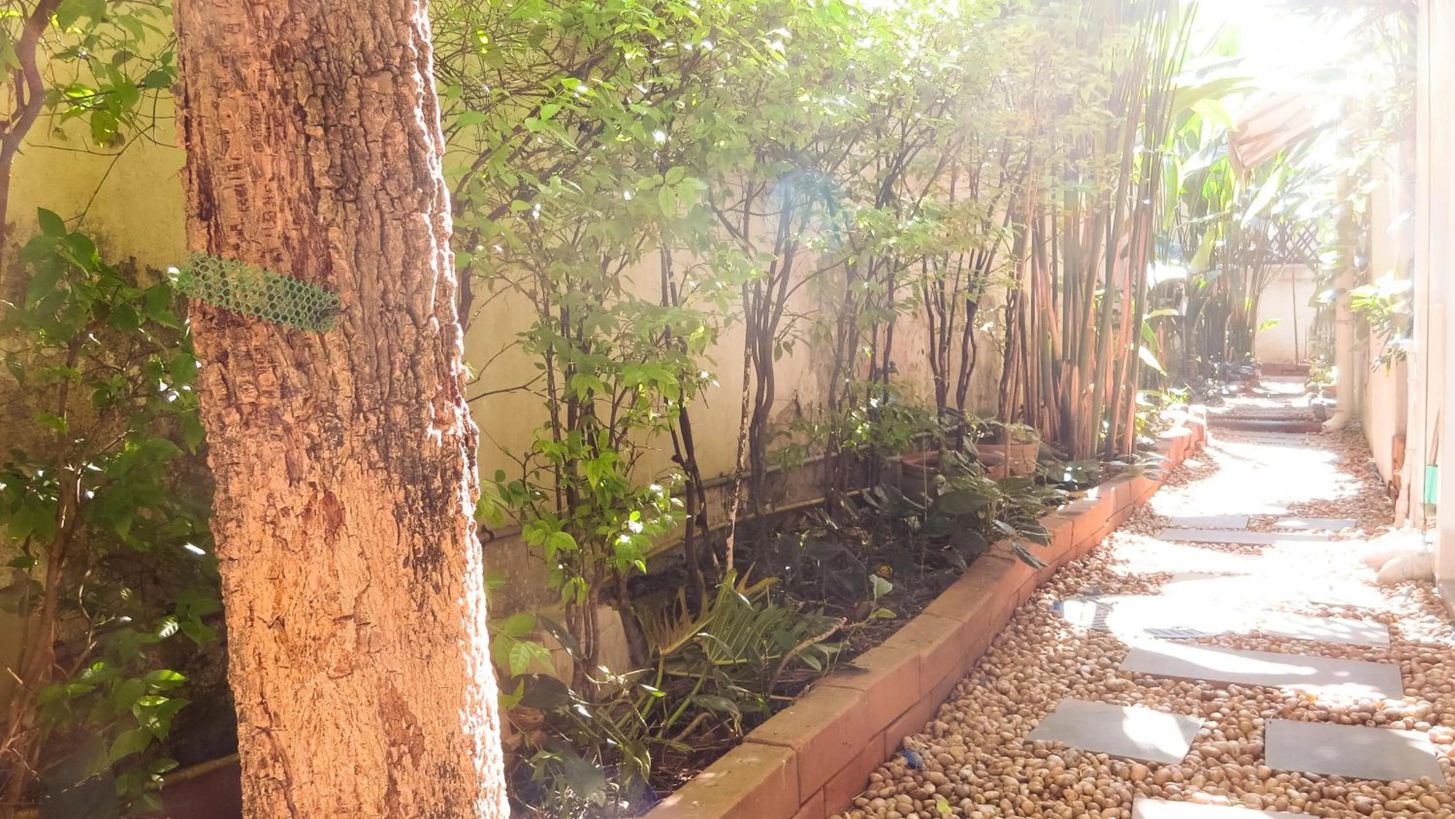 Facade/entrance in Baansilom Soi 3