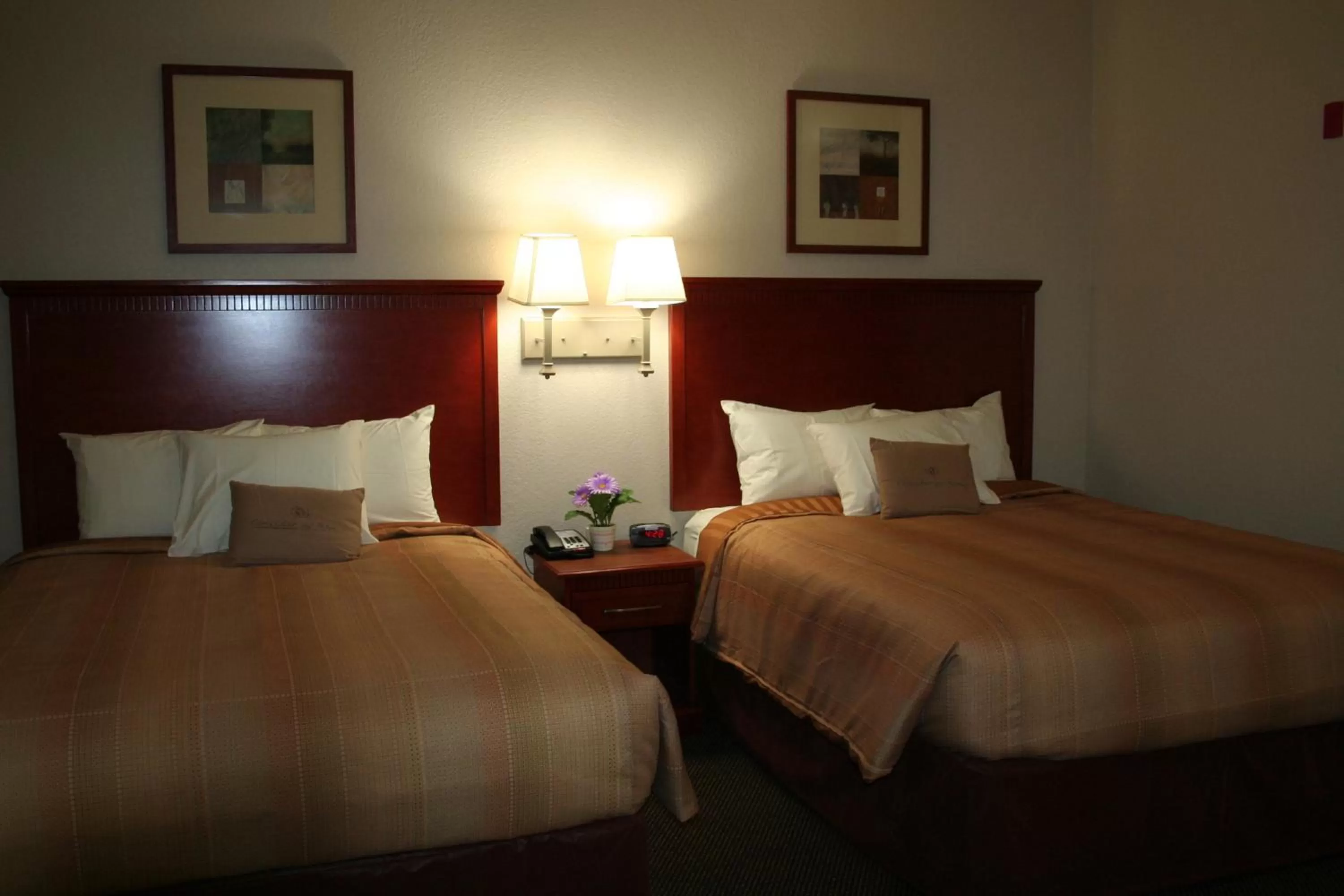 Photo of the whole room, Bed in Candlewood Suites Avondale-New Orleans by IHG