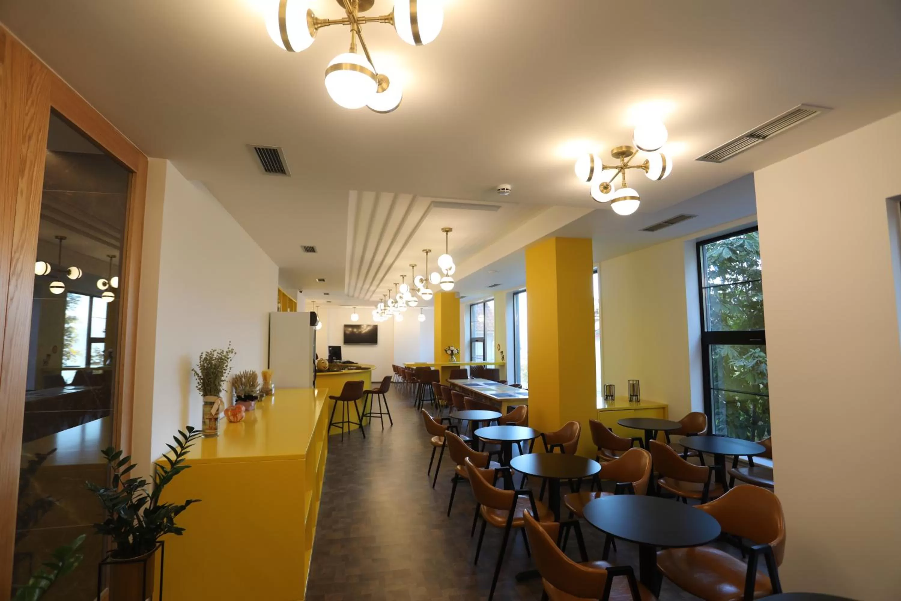 Restaurant/places to eat in Elite