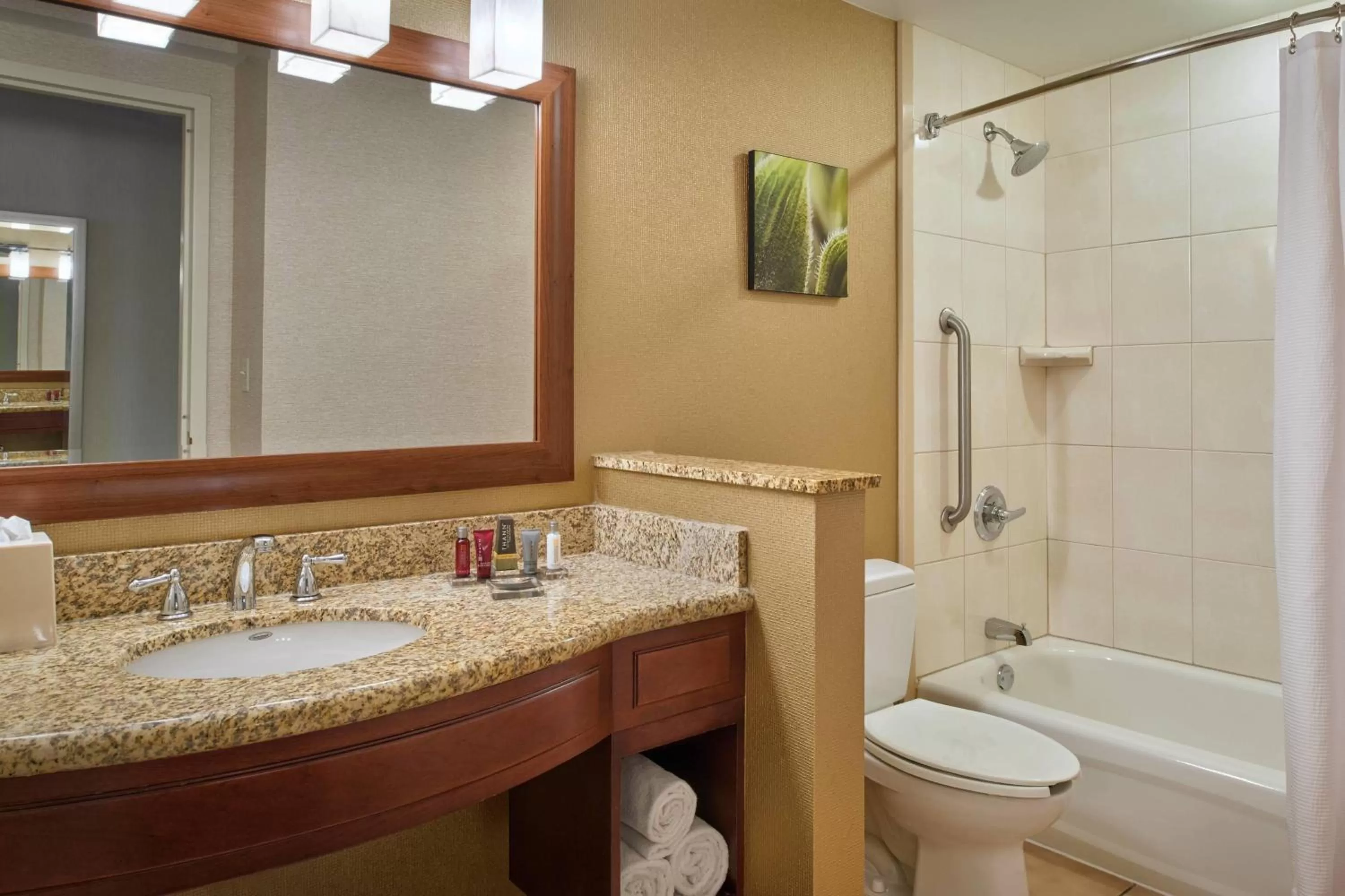 Queen Room with Two Queen Beds and Adapted Tub - Mobility and Hearing Accessible in Chicago Marriott Midway