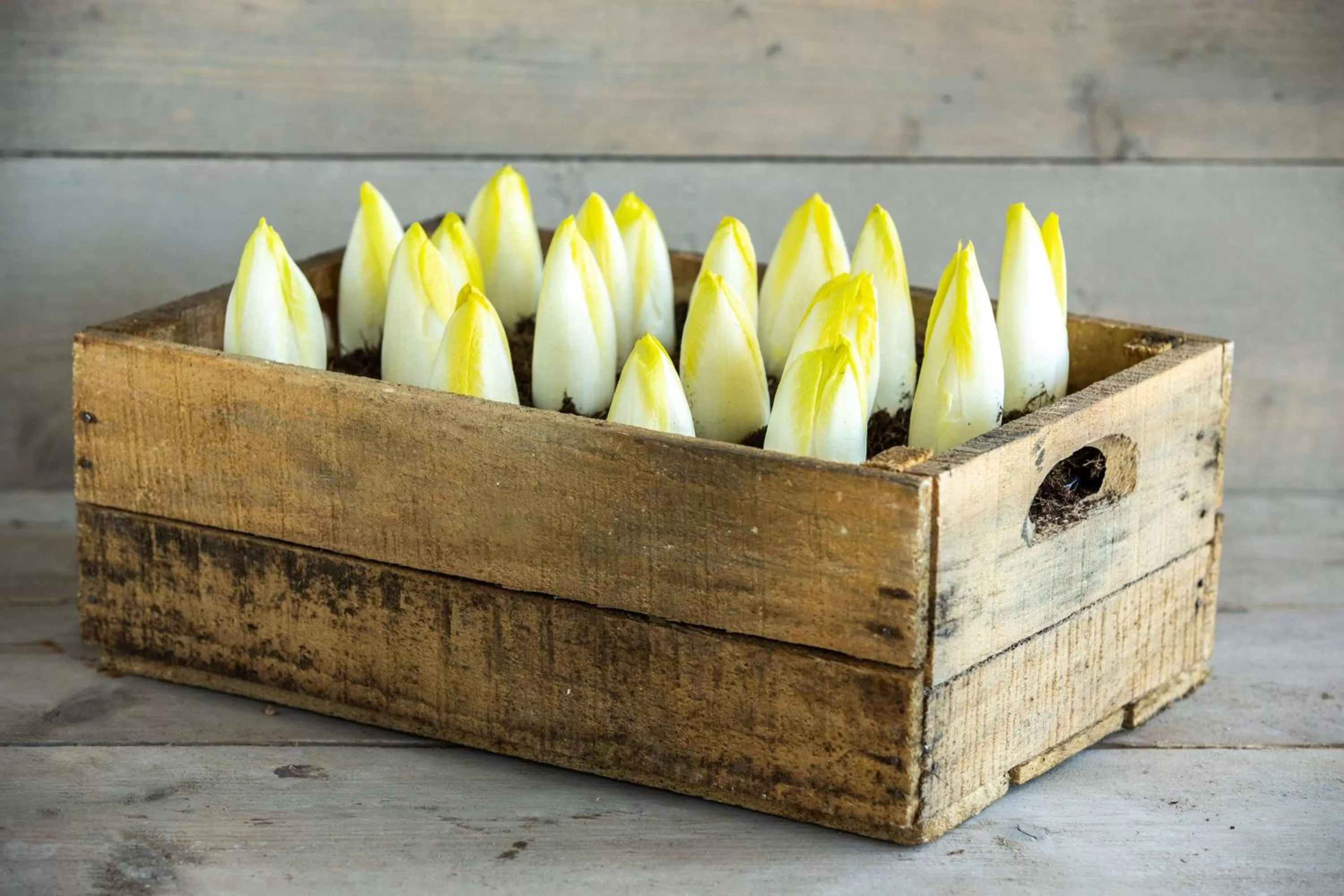 Other in Radisson Blu Hotel, Antwerp City Centre