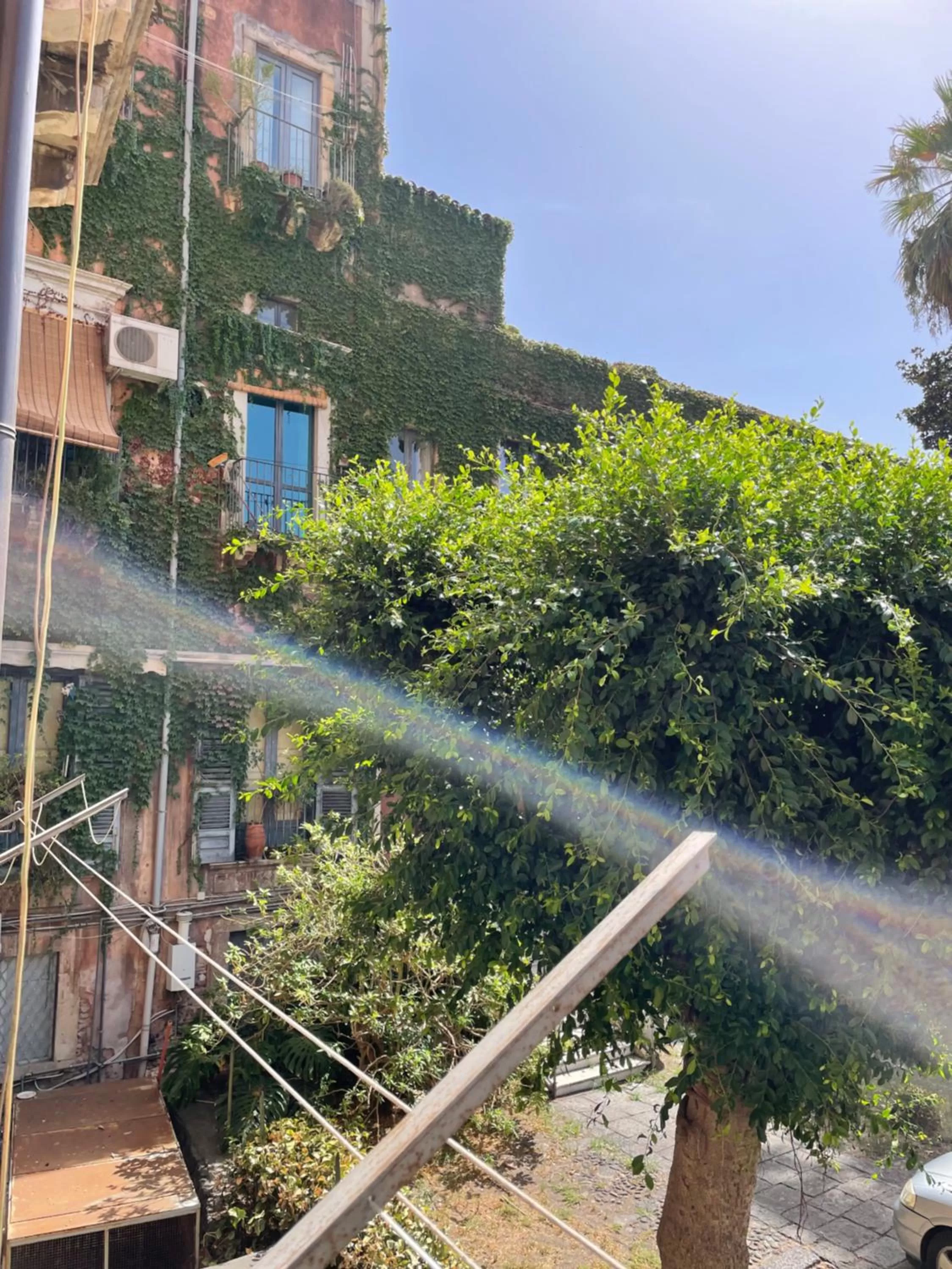 Bed and Books Isabella