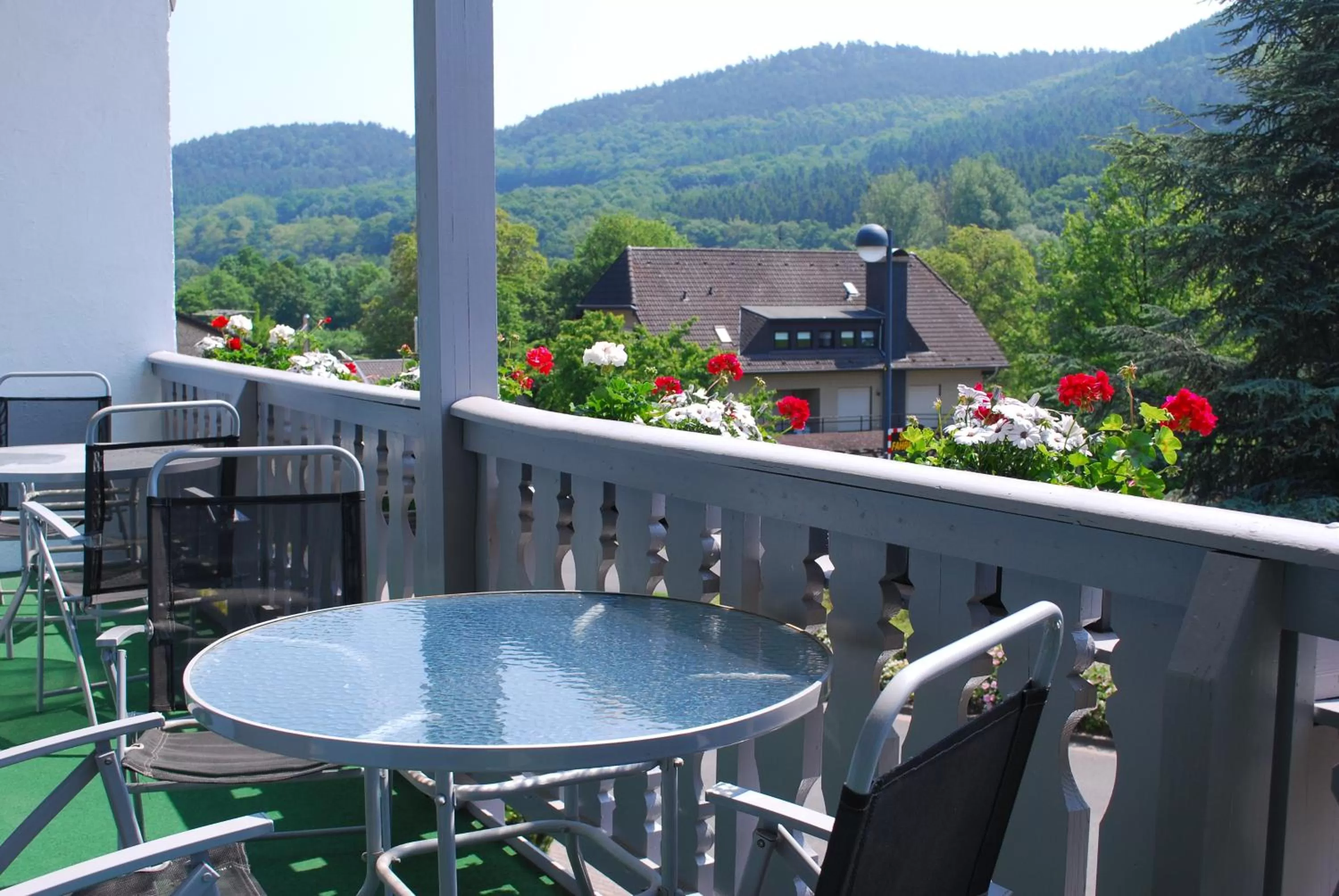 Balcony/Terrace in Hotel am See