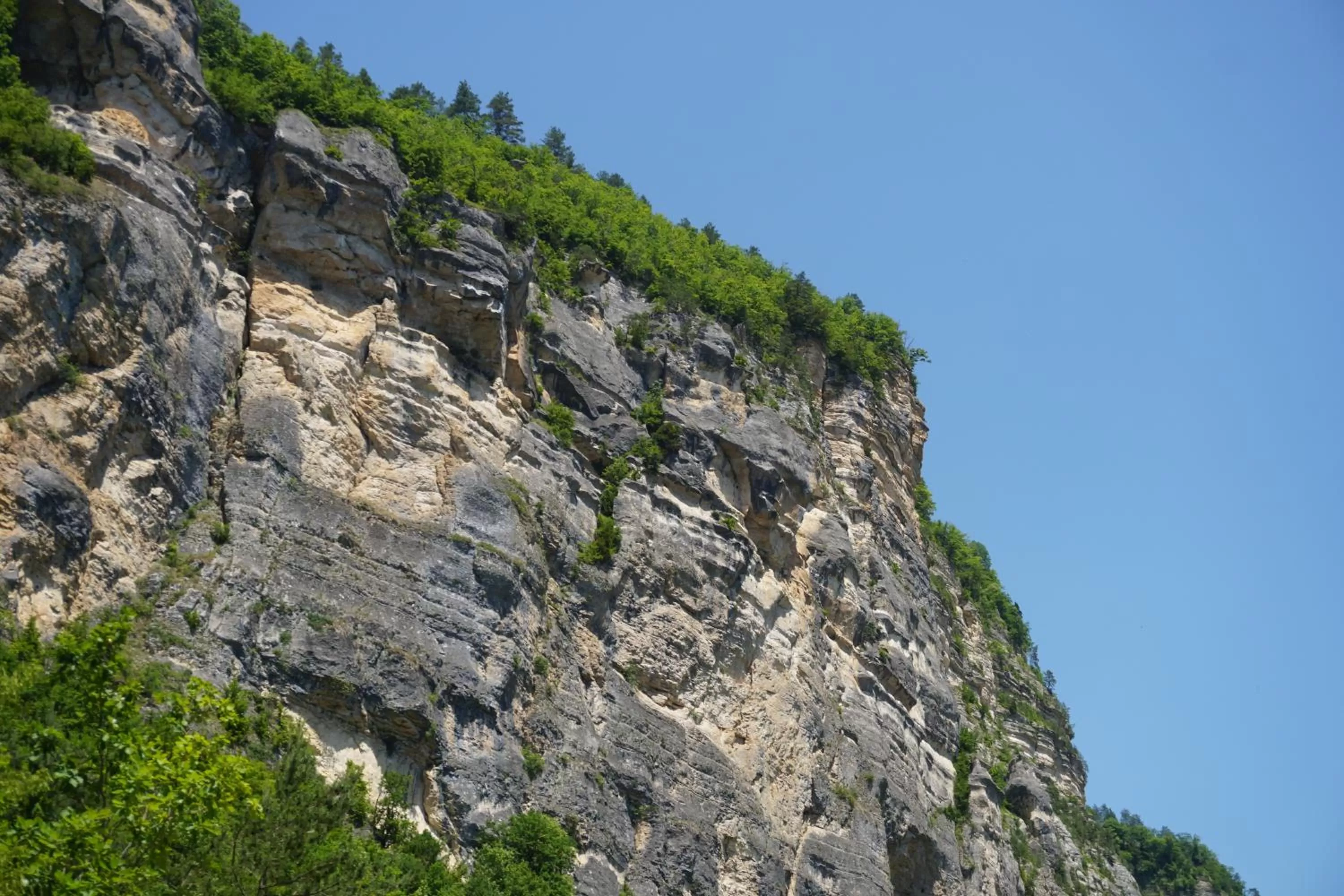 Natural Landscape in Hotel Tskhumi