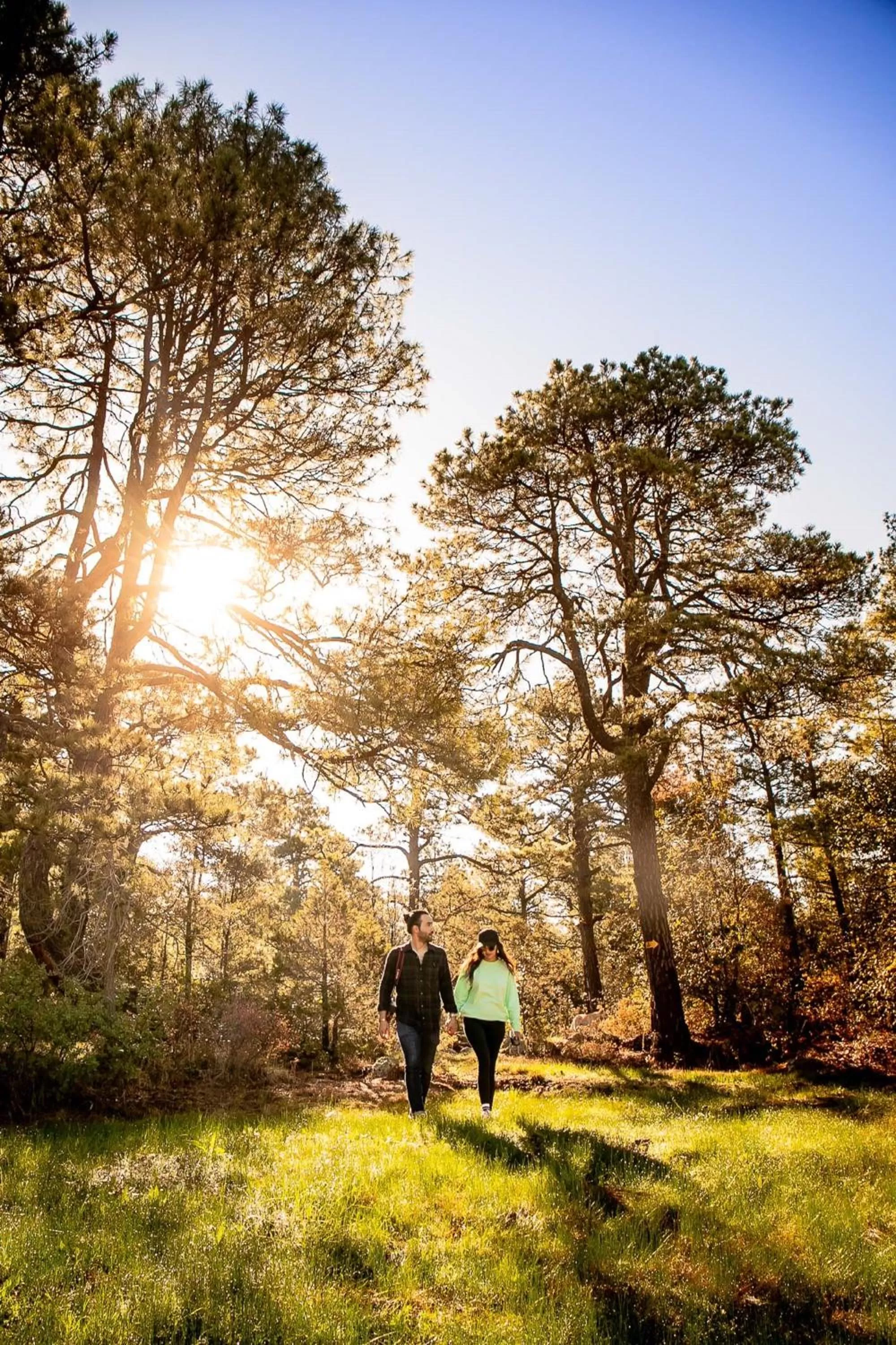 Spring in Hacienda Don Armando Boutique & Spa