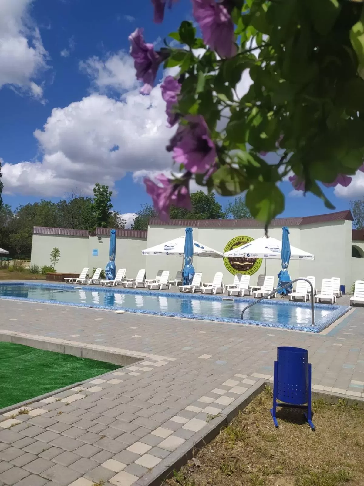 Pool view, Swimming Pool in Zelenyi Kampus