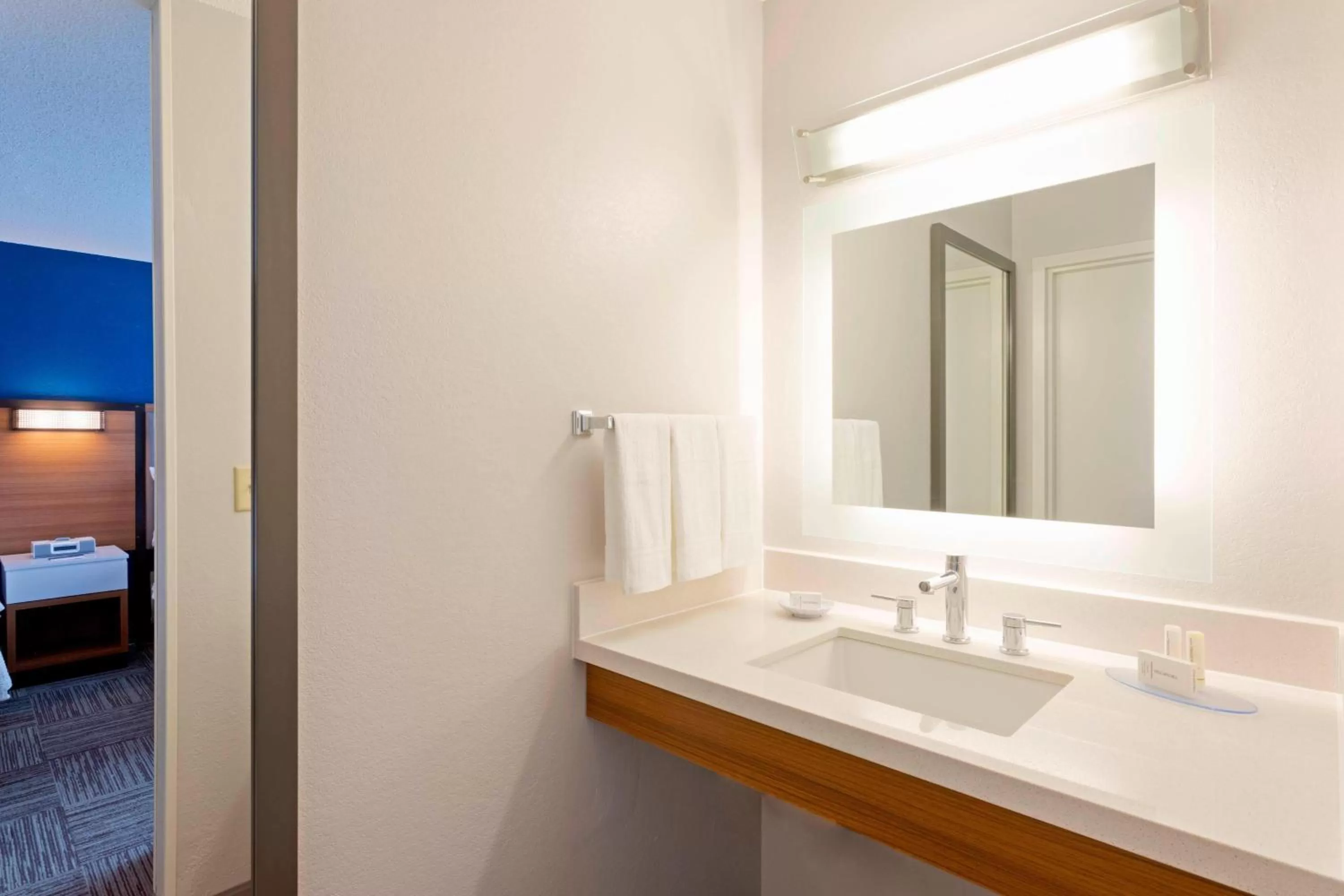 Bathroom in SpringHill Suites Rochester Mayo Clinic Area / Saint Marys