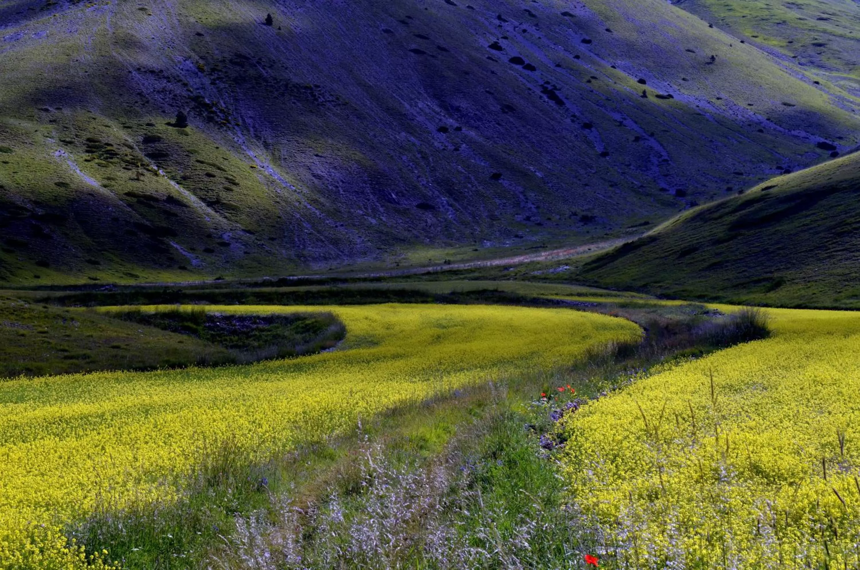 Natural landscape in Hotel Clarici
