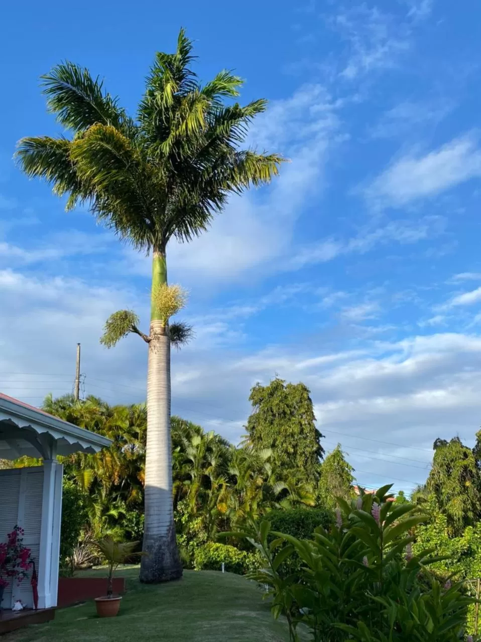Villa Cajou (Chambre d'hôtes chez l'habitant)
